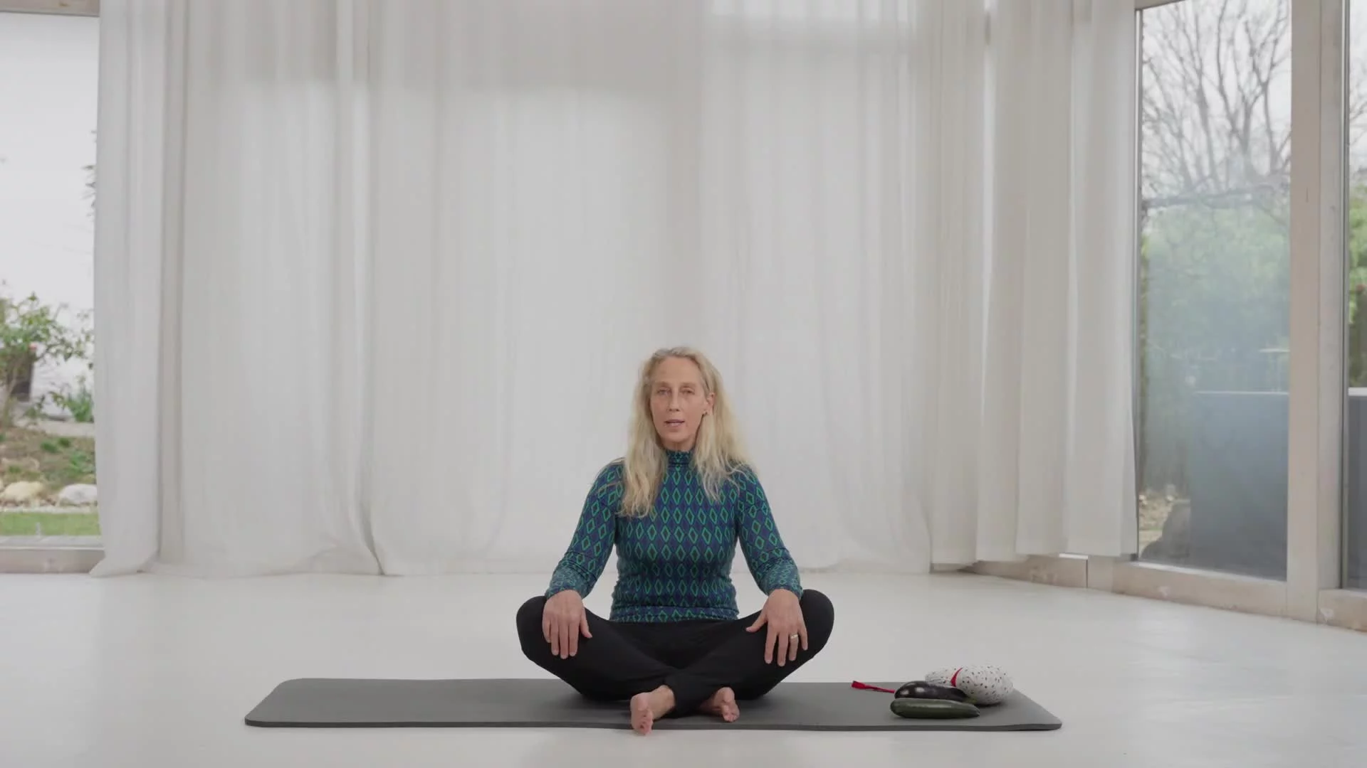 Paledia® 025 — 02 Meditation