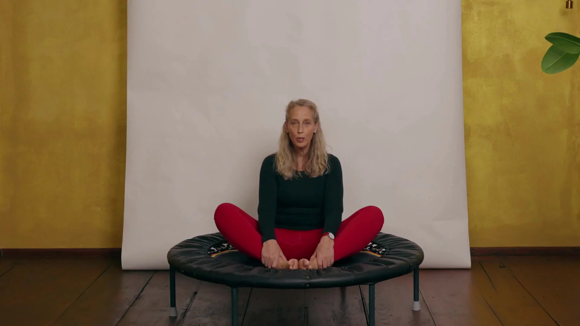 Paledia® 025 — 03 kurzes Workout auf dem Trampolin