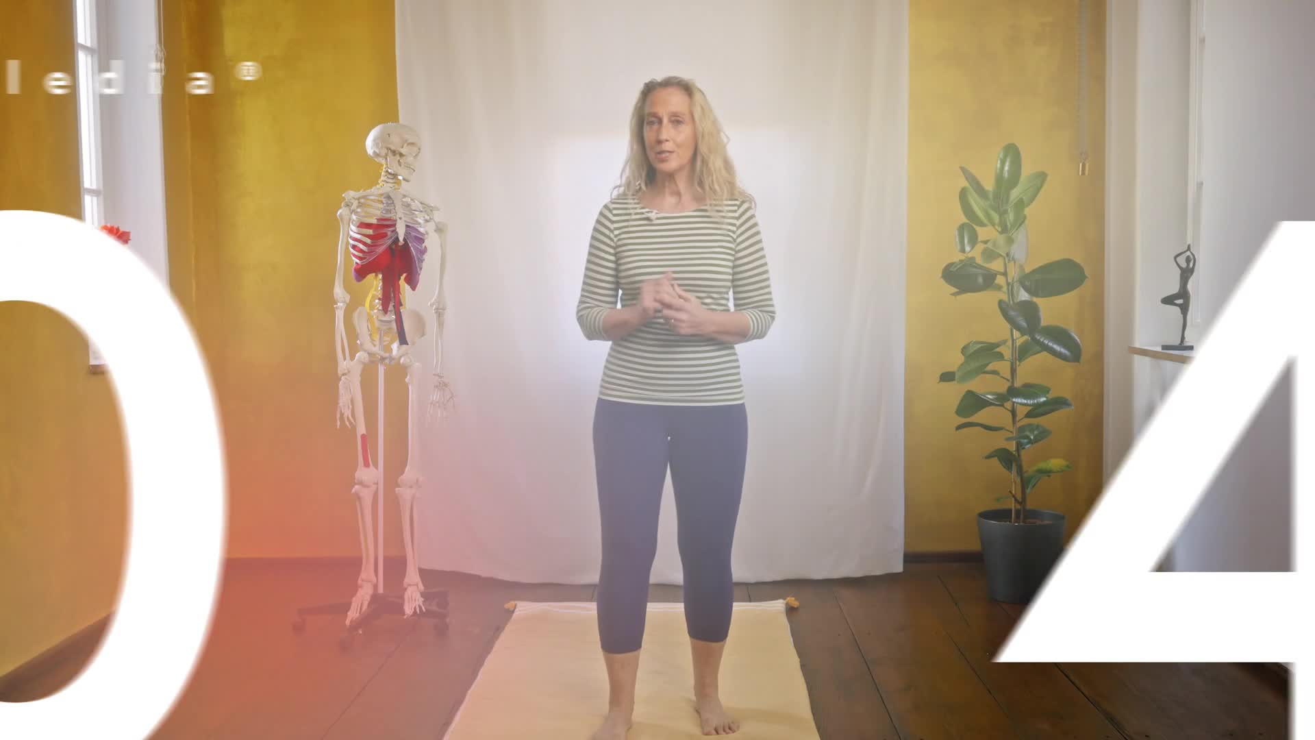 Paledia® 05 — 04  Quallenatmung üben