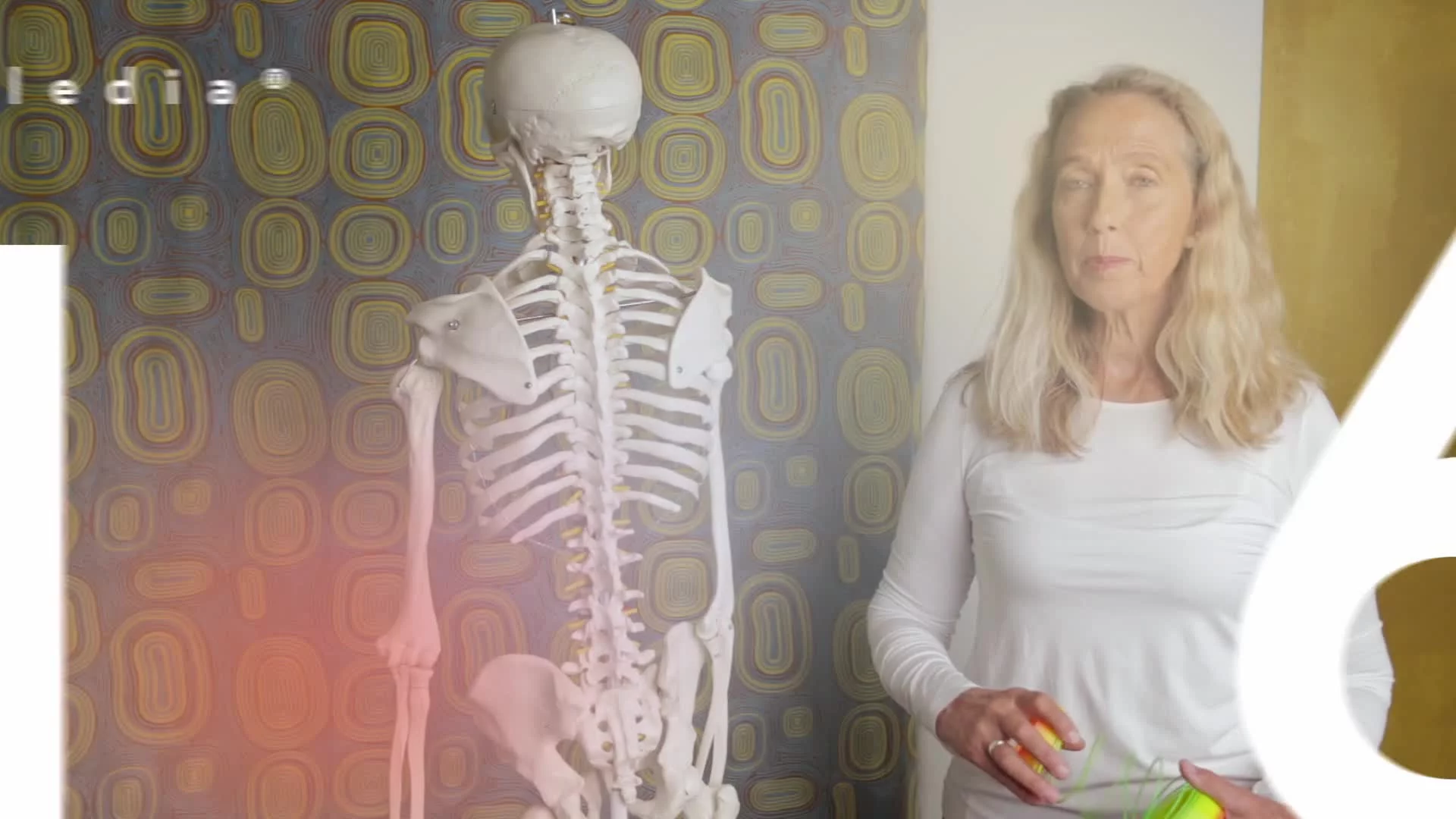 Paledia® 05 — 16 Aktive Wirbelsäule