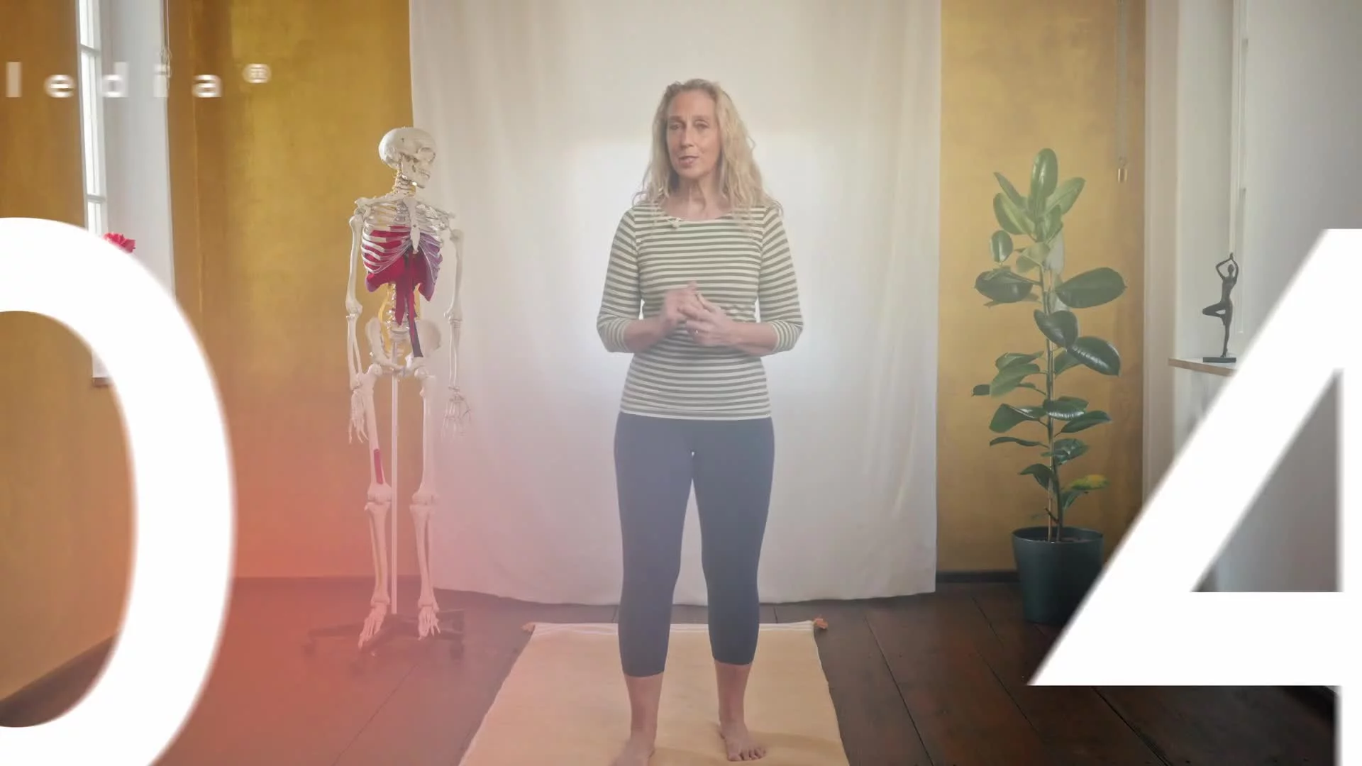 Paledia® 05 — 04  Quallenatmung üben