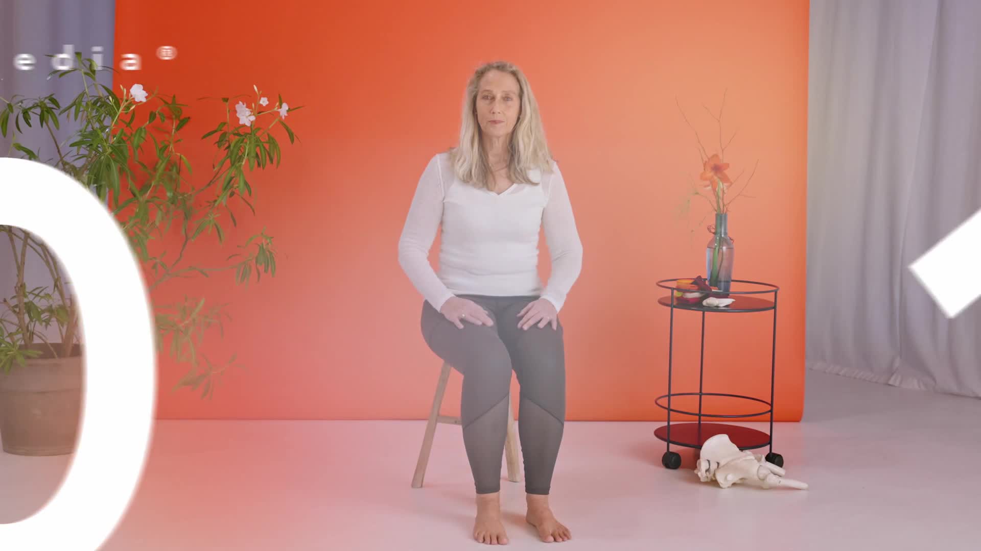 Paledia® 05 — 01 Beckenboden im Alltag