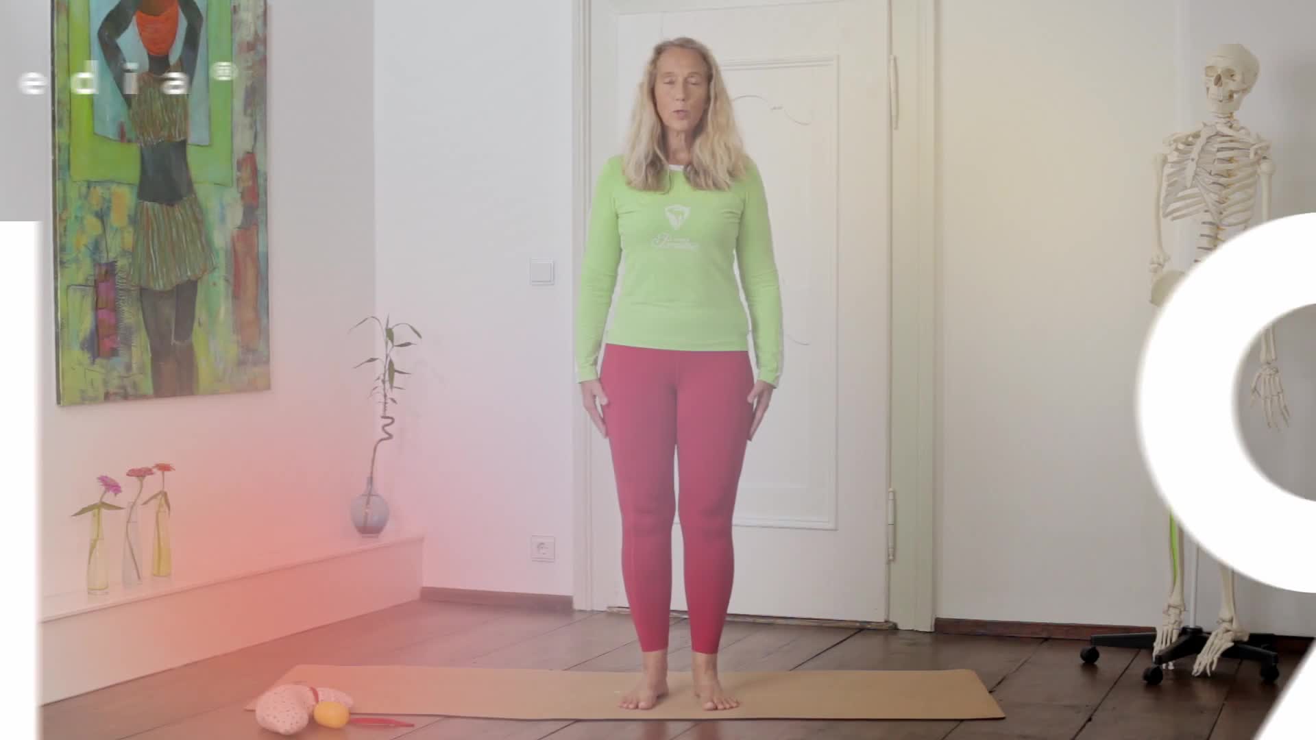 Paledia® 05 — 19 Bauch - Arme - Augenlinse