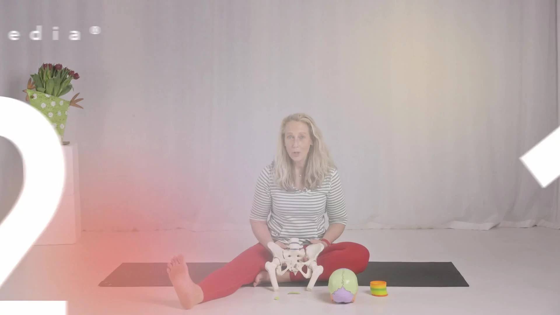 Paledia® 05 — 21 Lendenwirbelsäule in Not