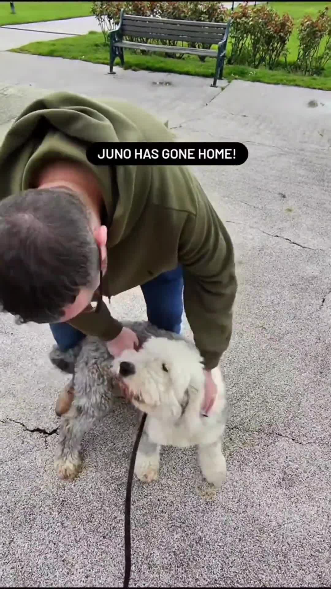 Related Video Item Thumbnail