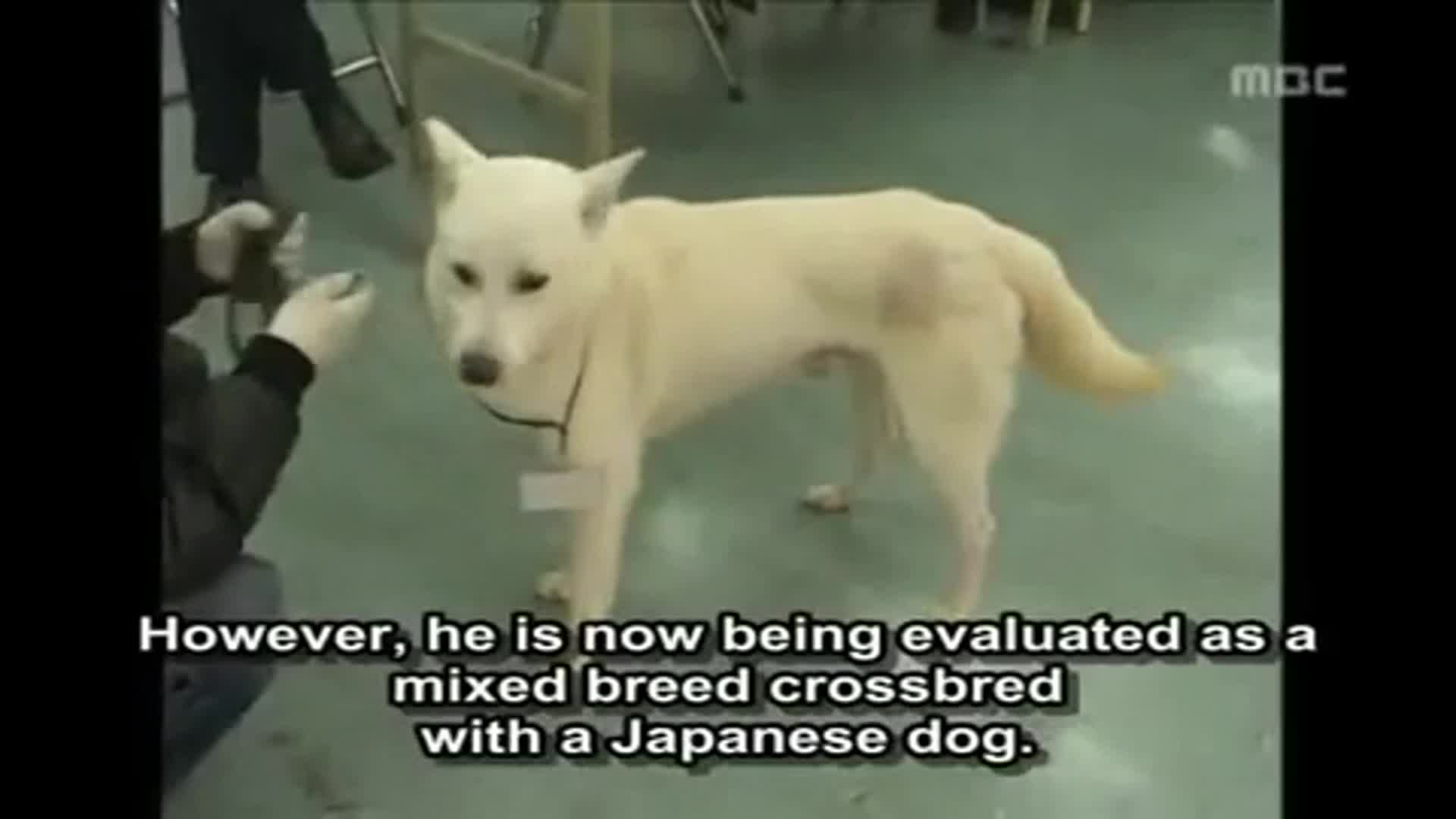Related Video Item Thumbnail