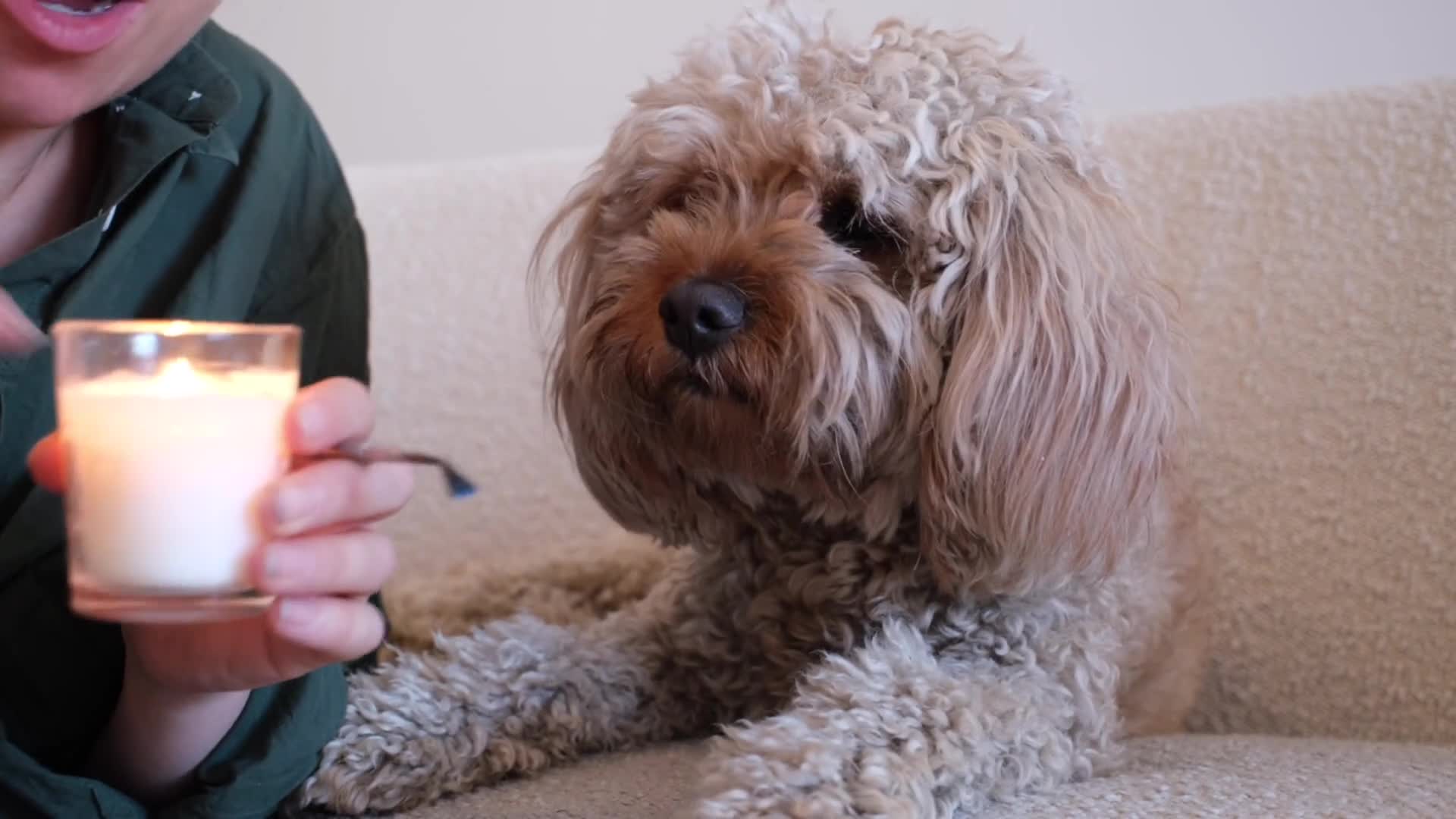 Related Video Item Thumbnail