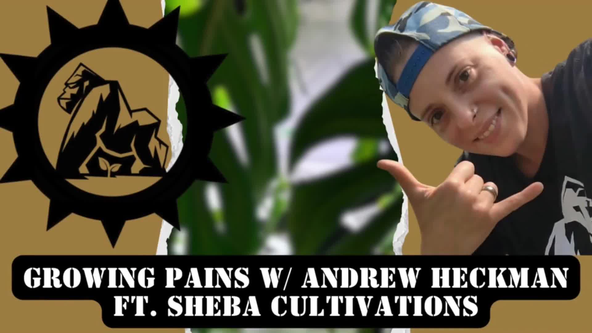 Related Video Item Thumbnail