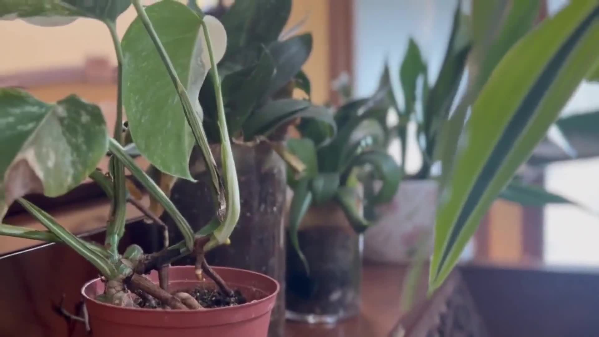 Related Video Item Thumbnail
