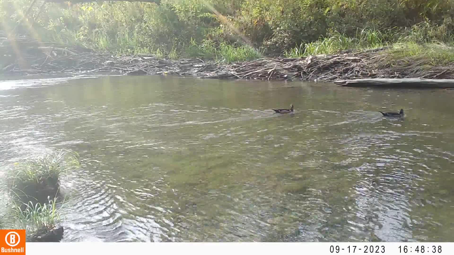 Related Video Item Thumbnail