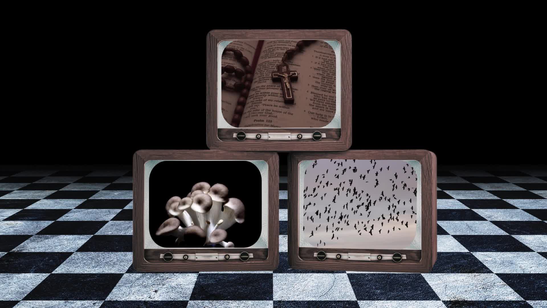 Related Video Item Thumbnail