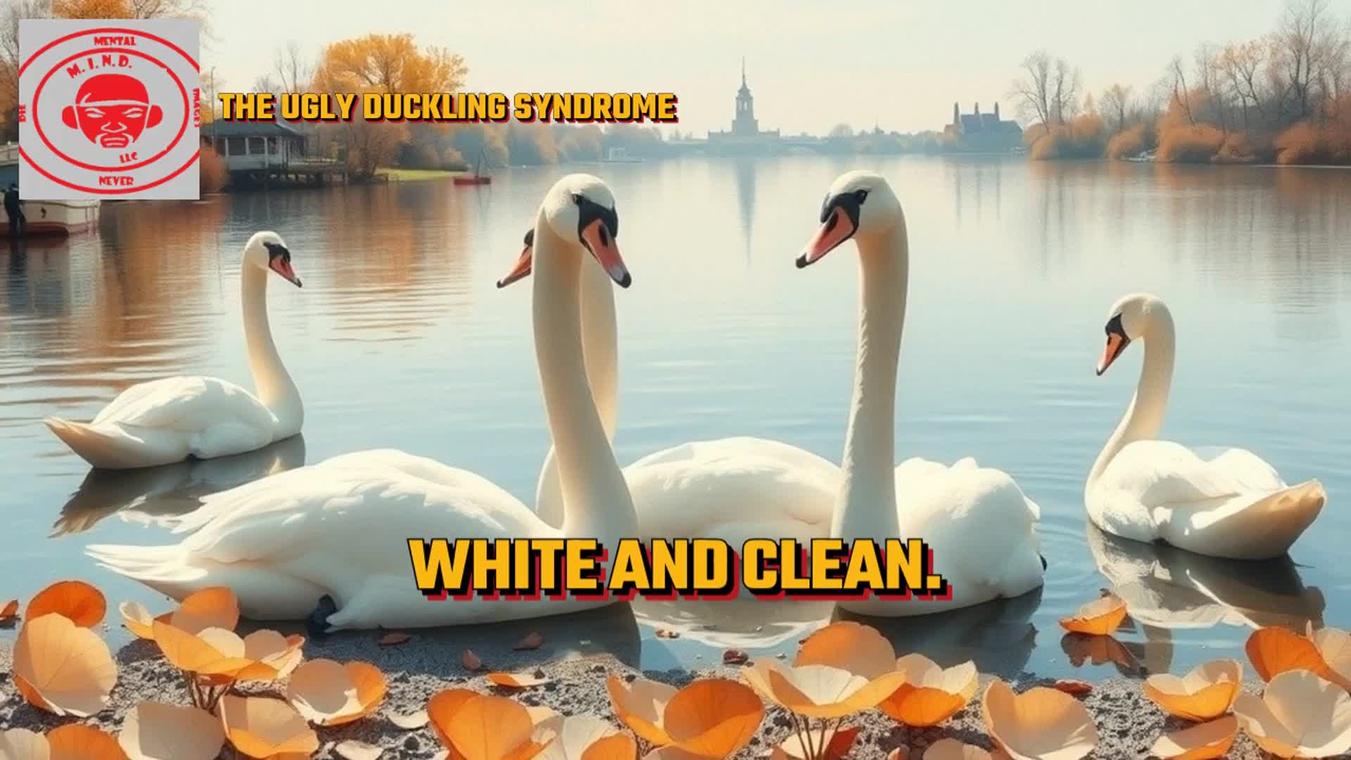 Related Video Item Thumbnail