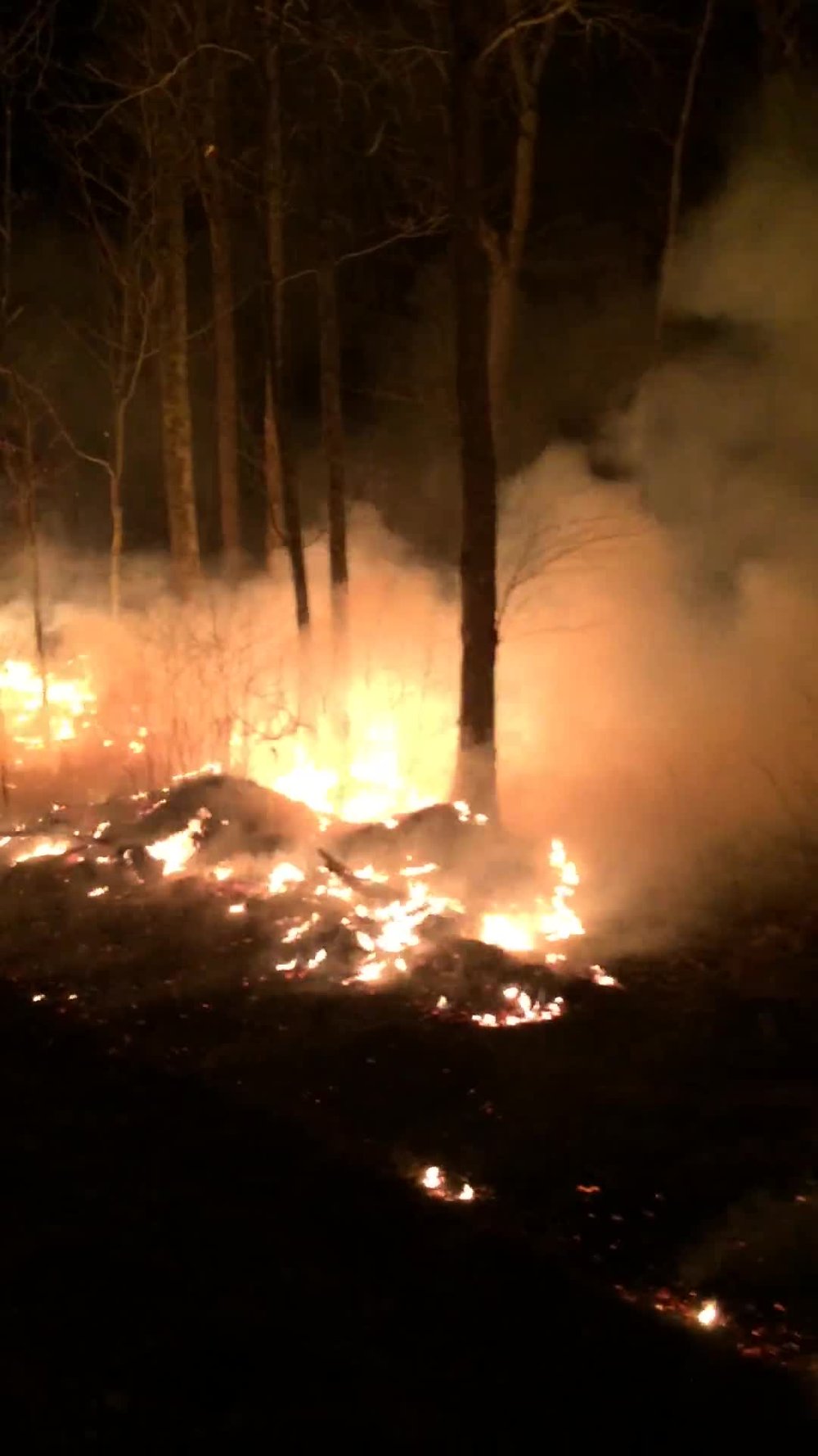 Current wildfire tracking in East Tennessee, image size:1000x1778