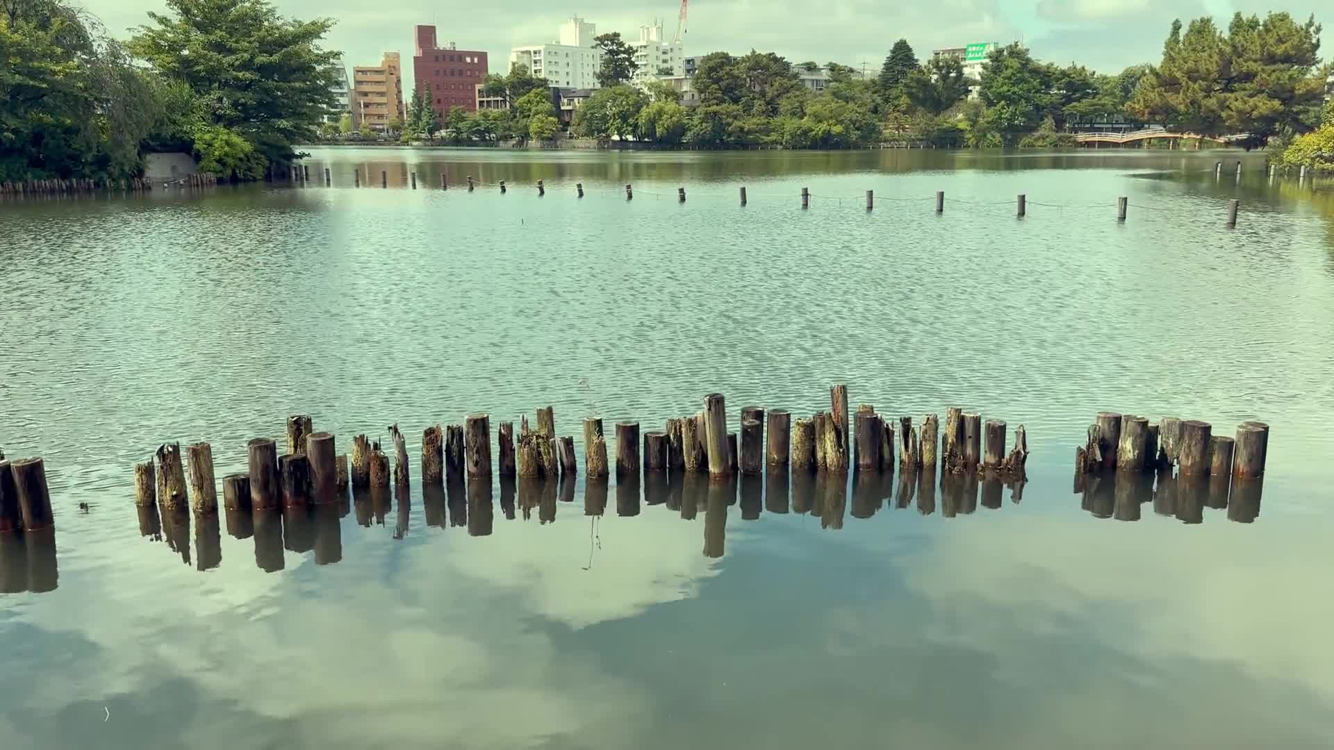 motohiko ichino web