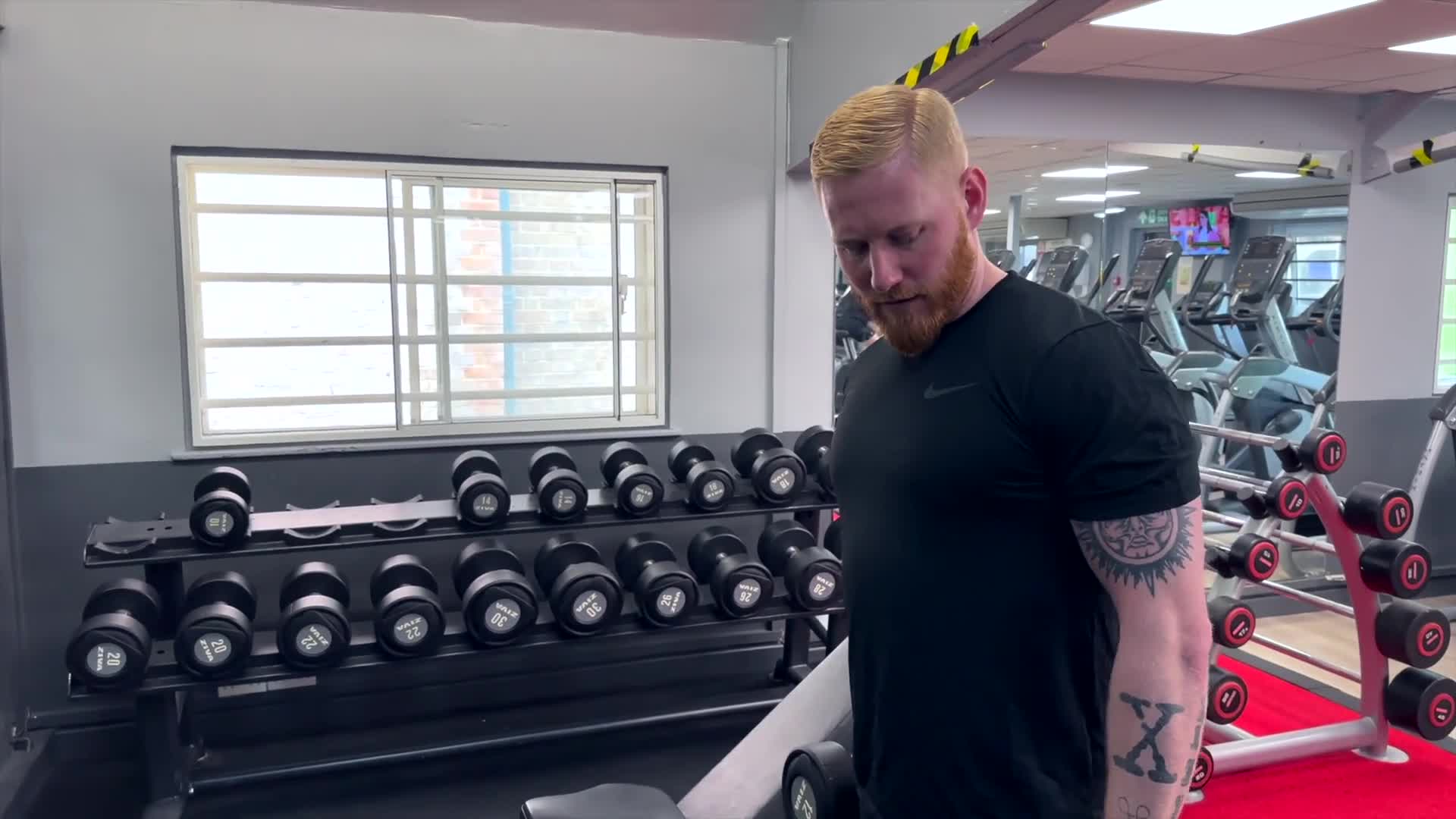 Dumbbell Bicep Curls