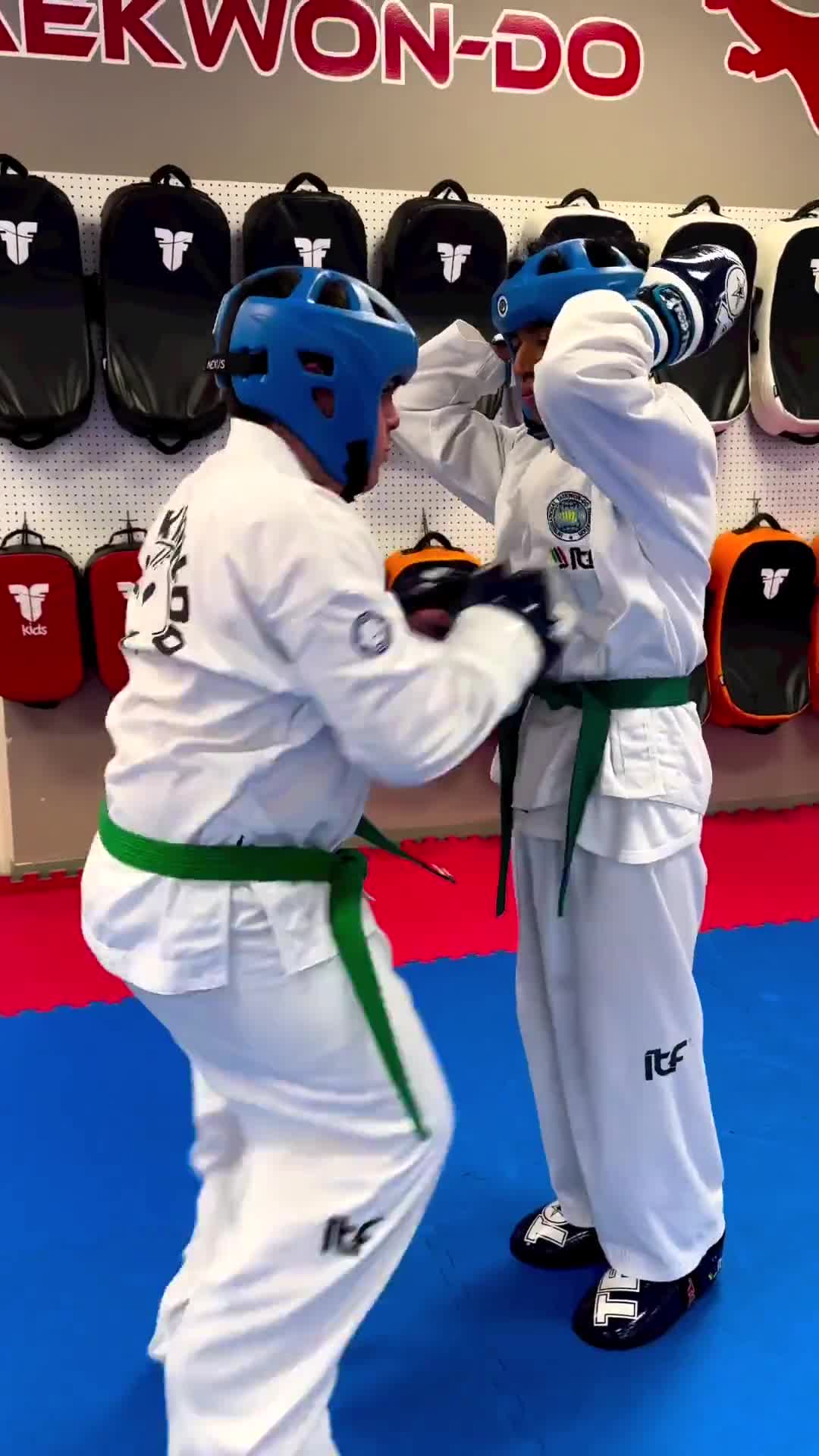 TITUS TAEKWON-DO INSTITUTE