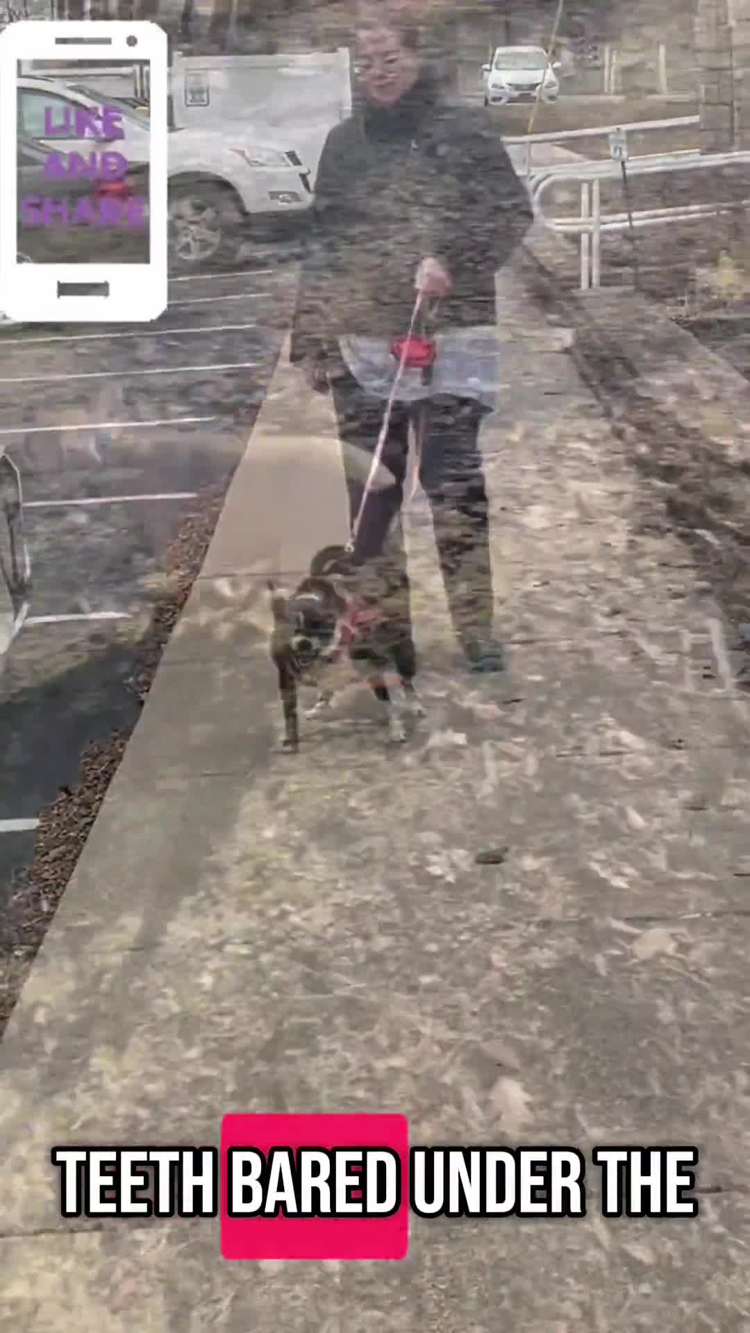Related Video Item Thumbnail