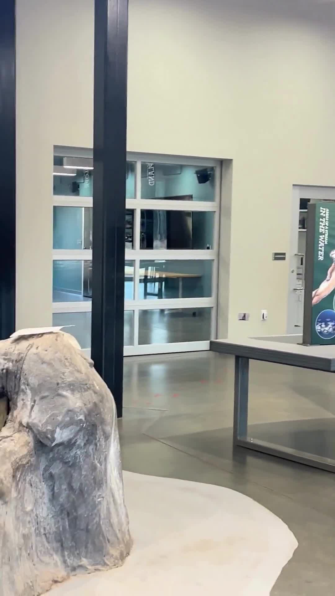 A quiet morning at Stevens Creek Nature Center