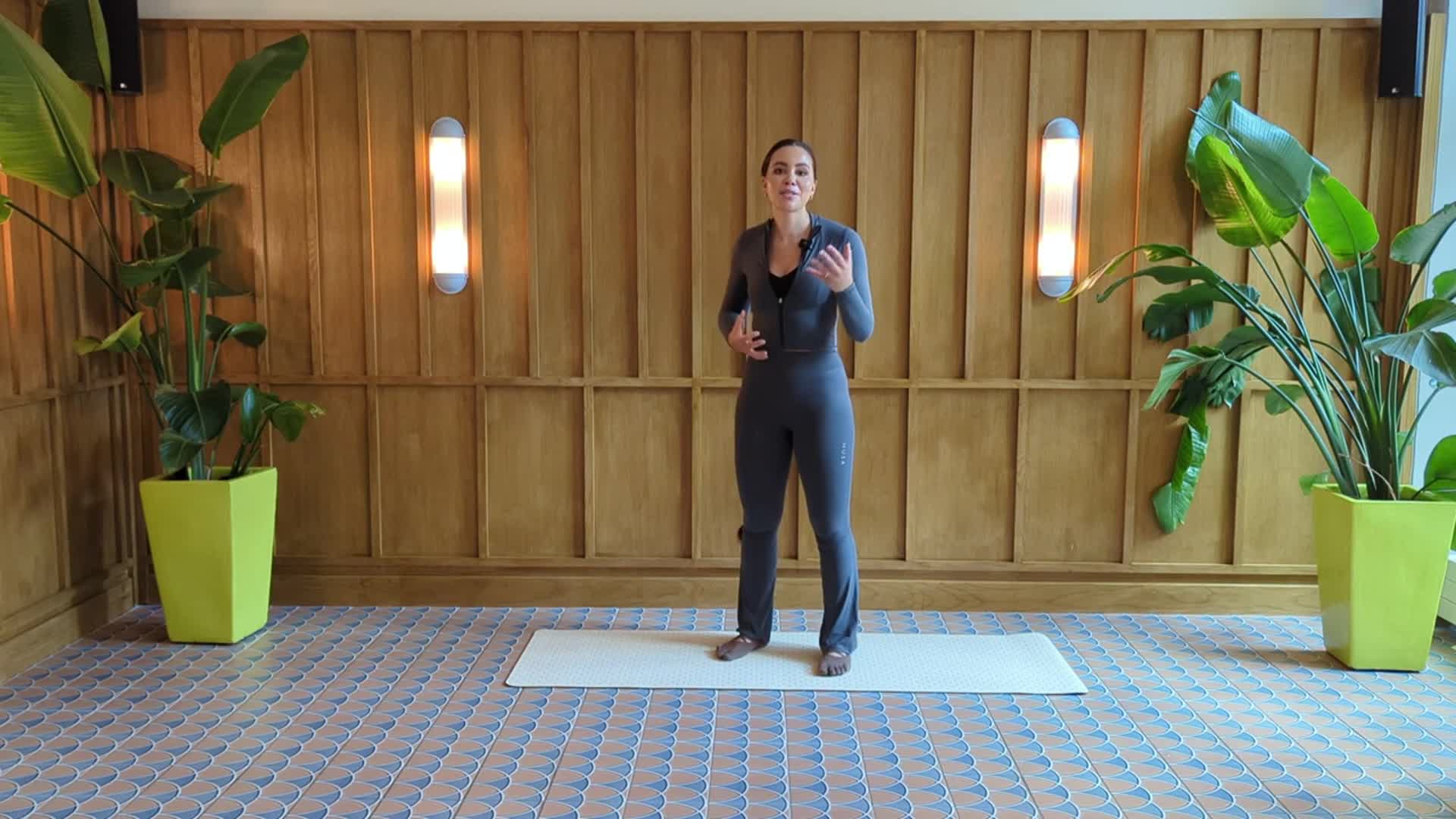 Full body dynamic flow (17 min)