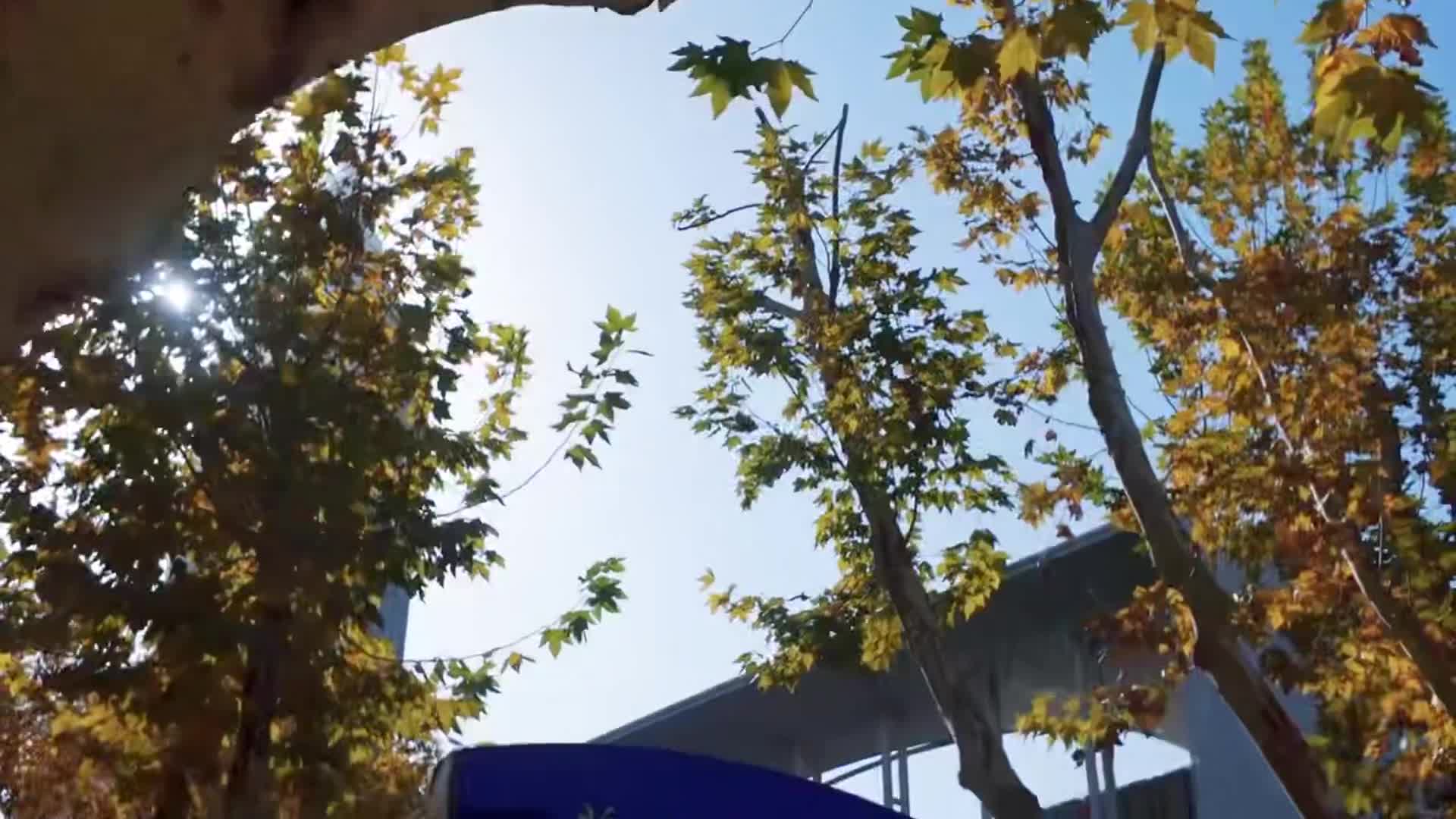 Related Video Item Thumbnail