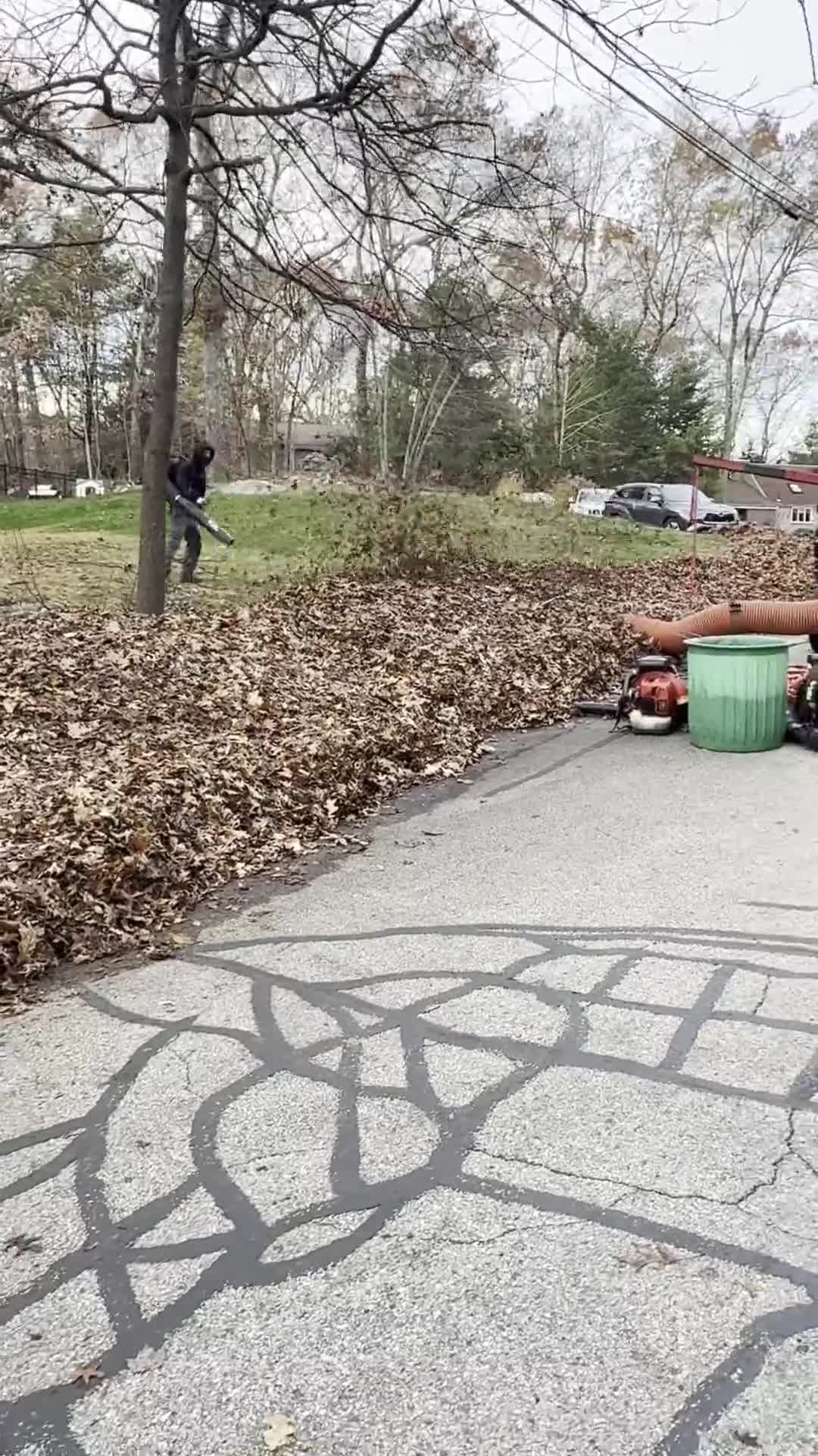 WeedEater crew clearing fallen leaves with a blower and leaf vacuum at a residential property