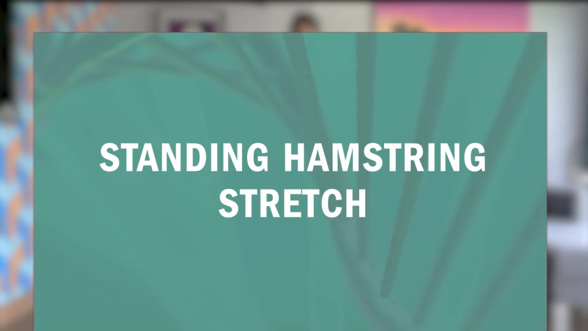 Related Video Item Thumbnail