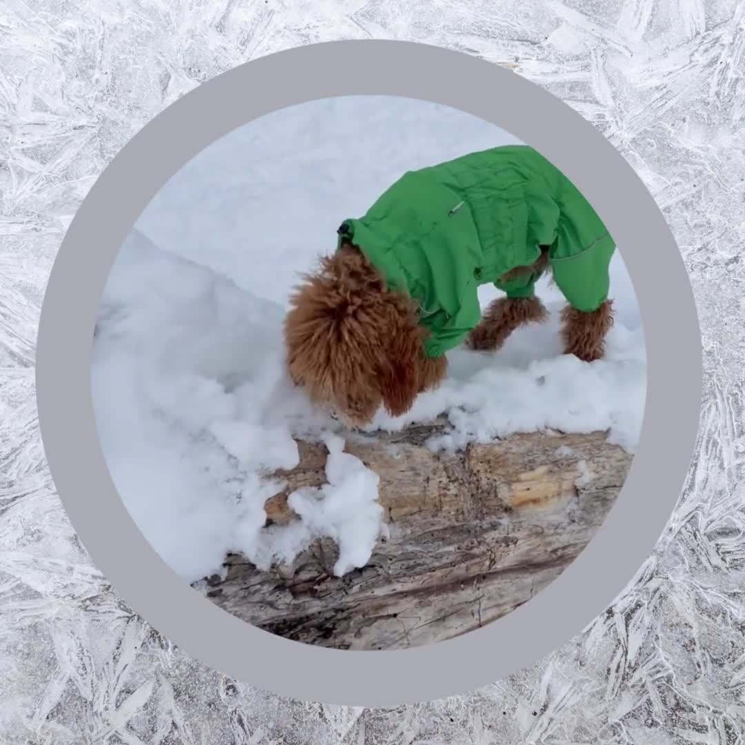 Related Video Item Thumbnail