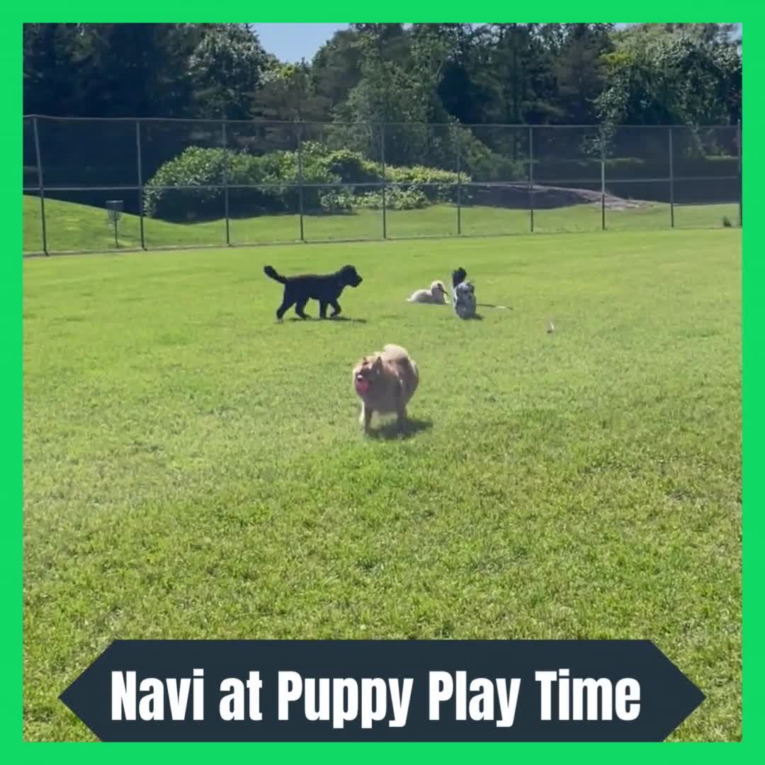 Related Video Item Thumbnail