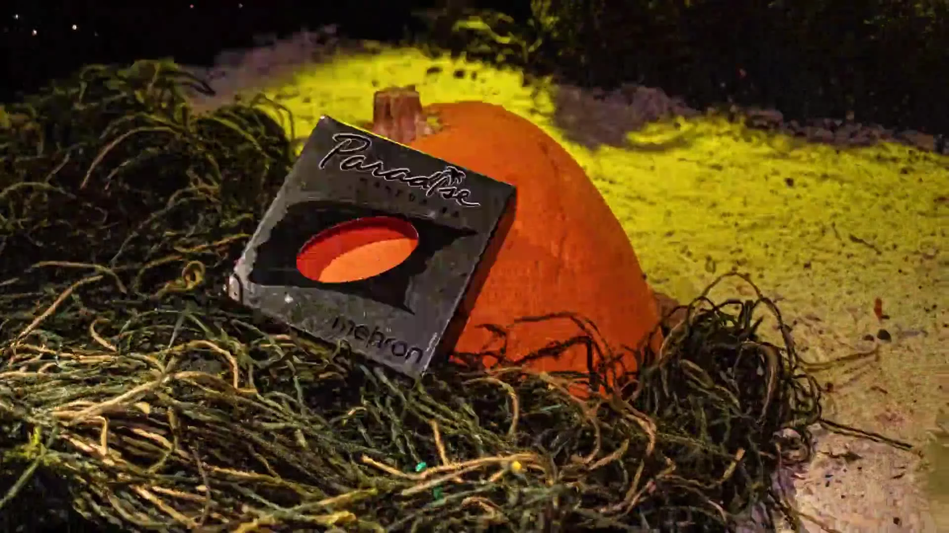 Related Video Item Thumbnail