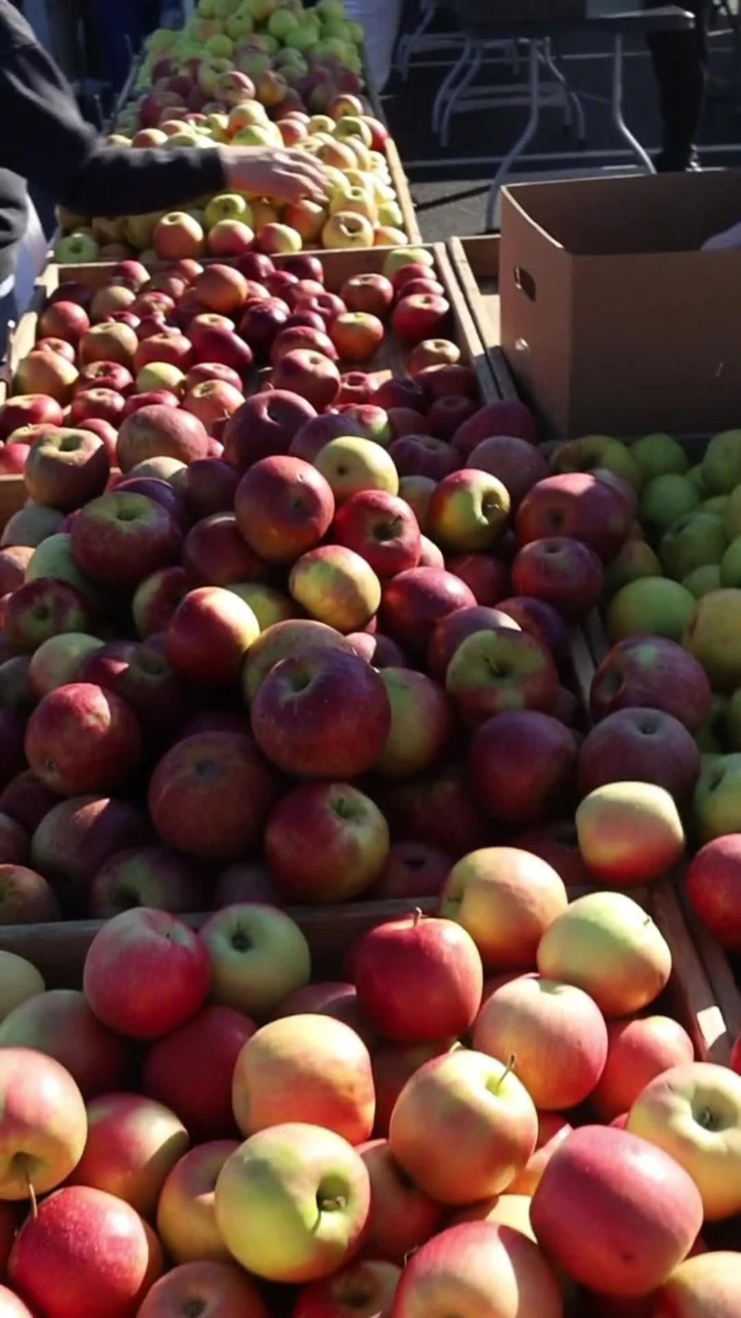 Related Video Item Thumbnail