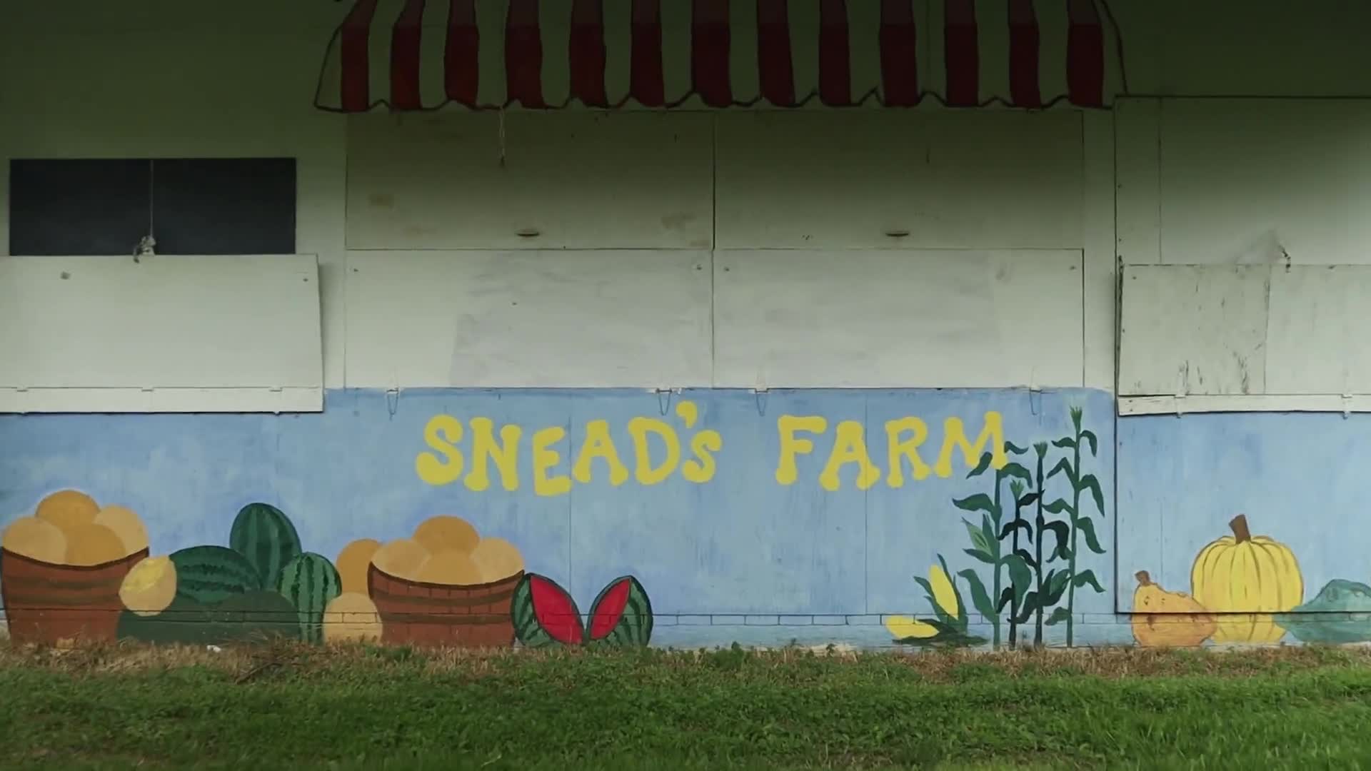 Related Video Item Thumbnail