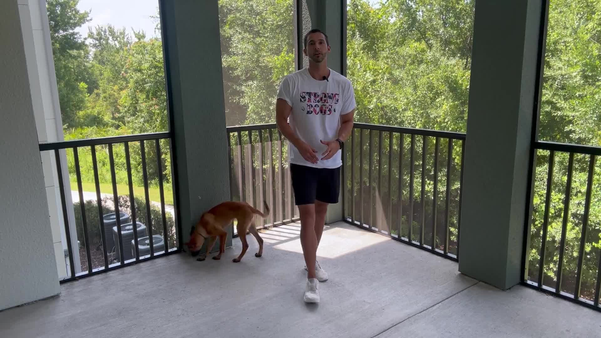 Related Video Item Thumbnail