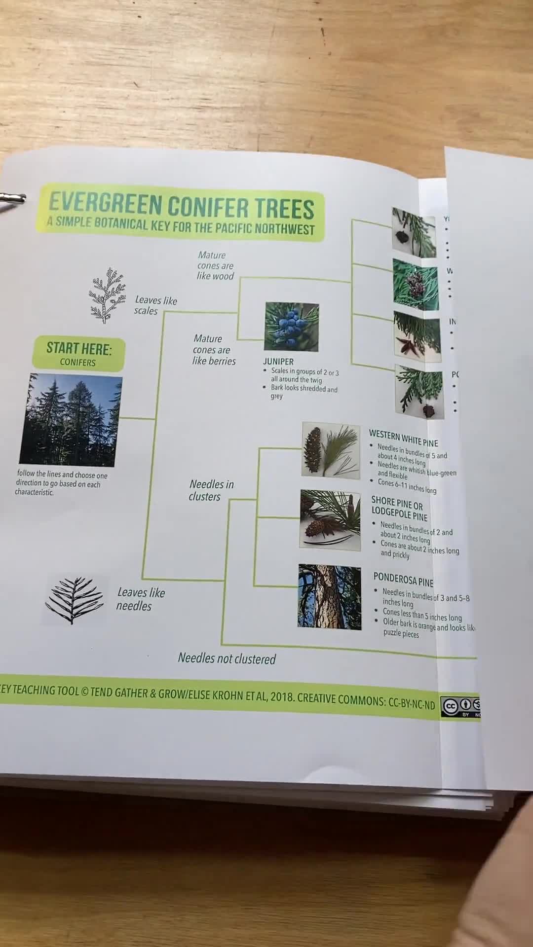 Tend Gather and Grow Modules binder — Chatwin Books