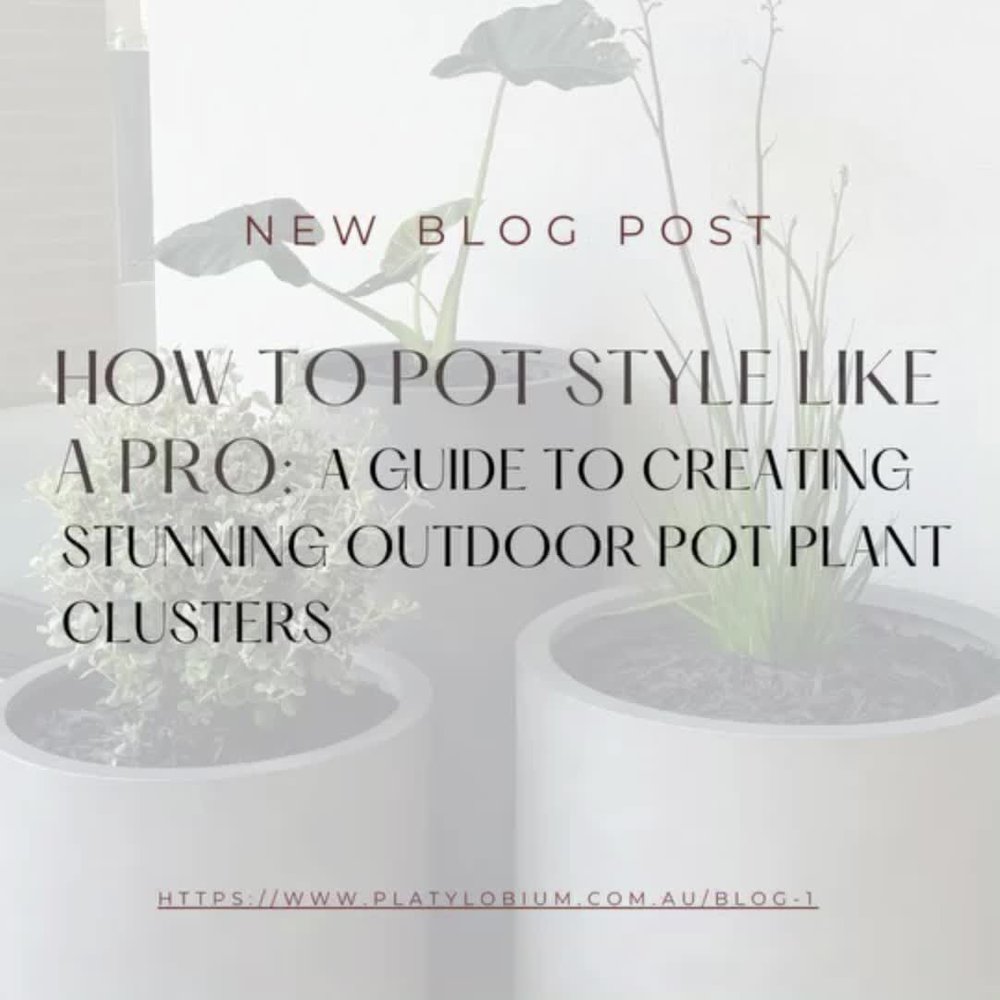 Blog post - POTS