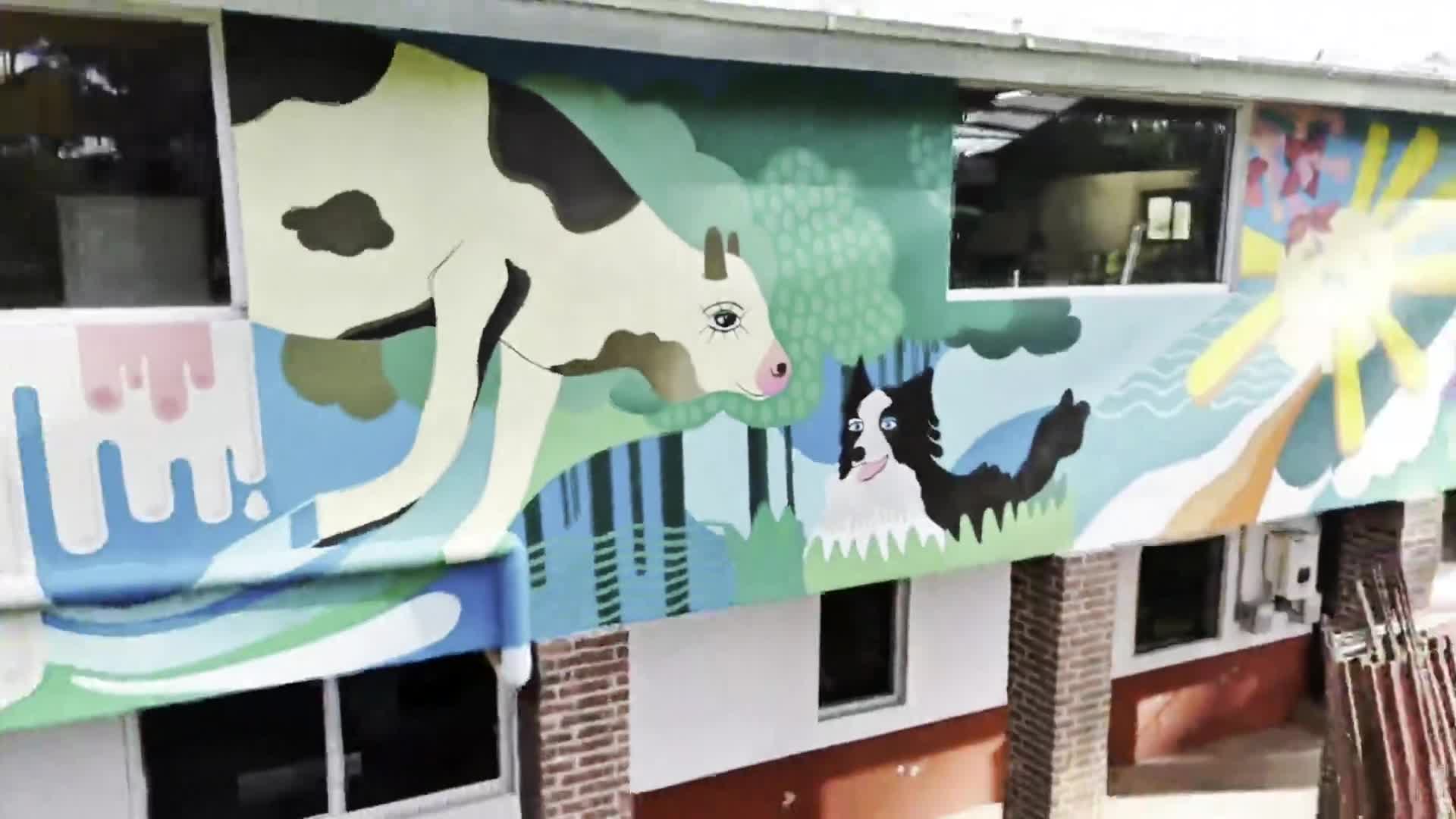 Related Video Item Thumbnail