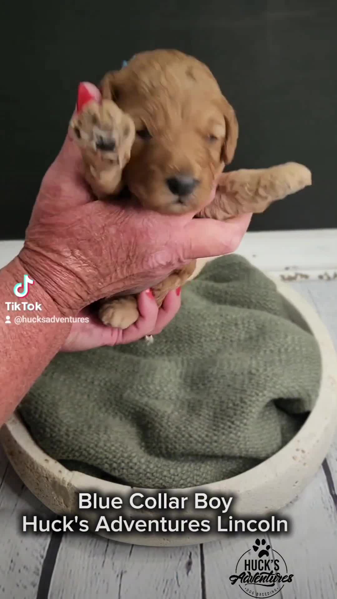 Related Video Item Thumbnail