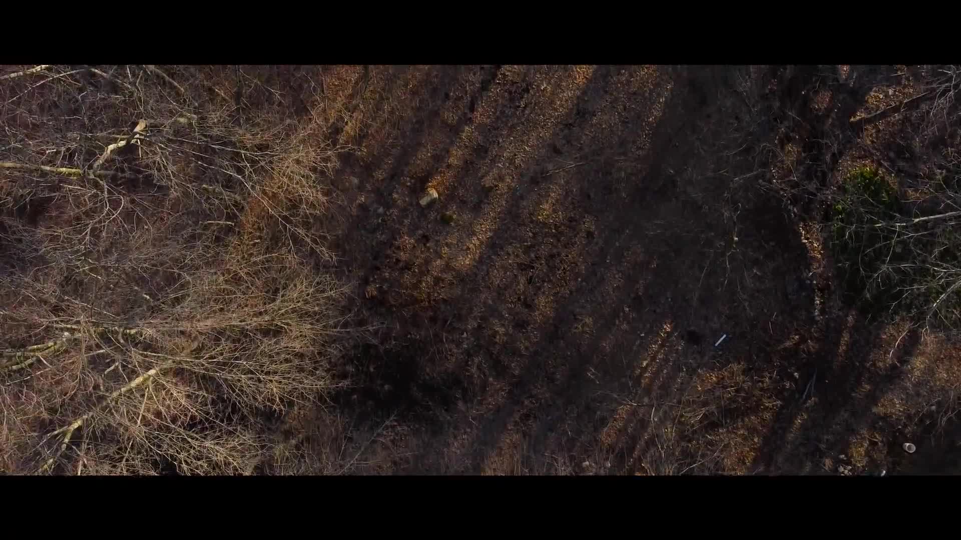 Related Video Item Thumbnail