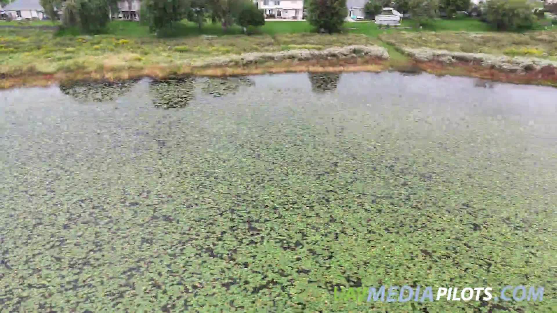 Related Video Item Thumbnail