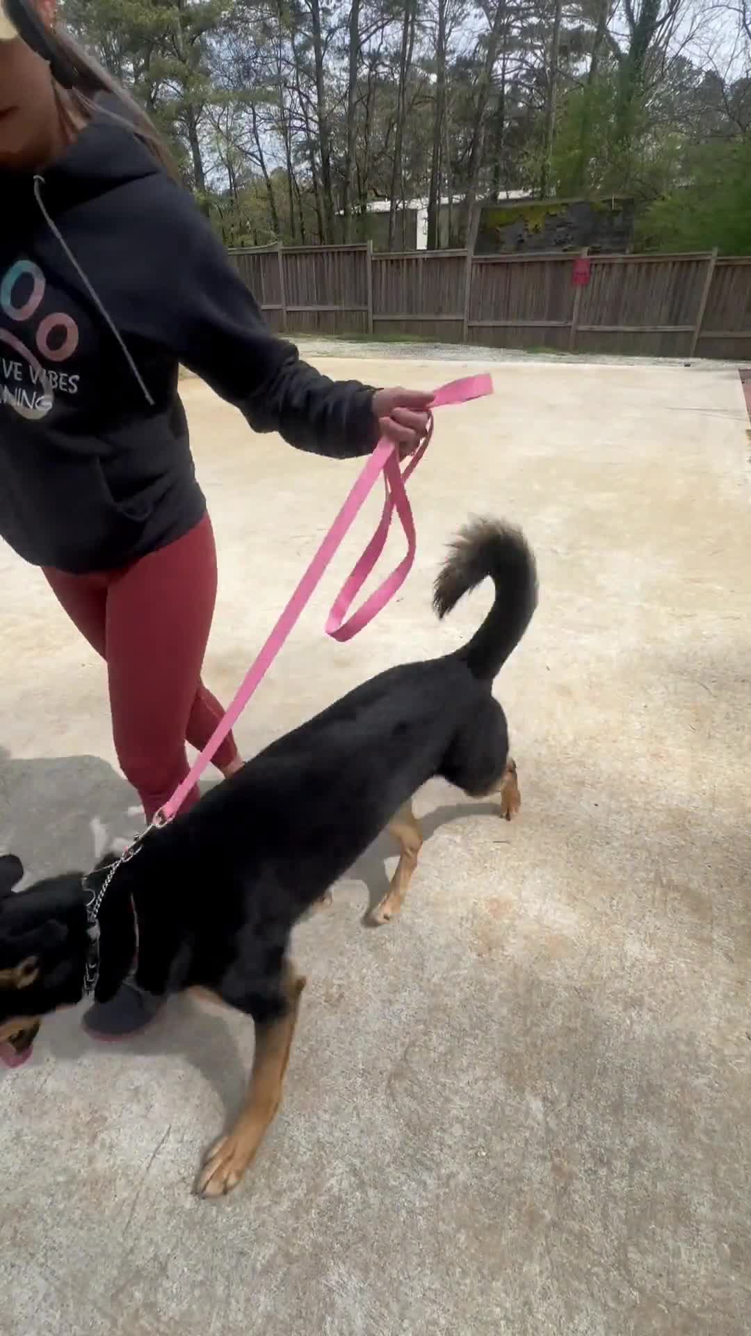 Related Video Item Thumbnail