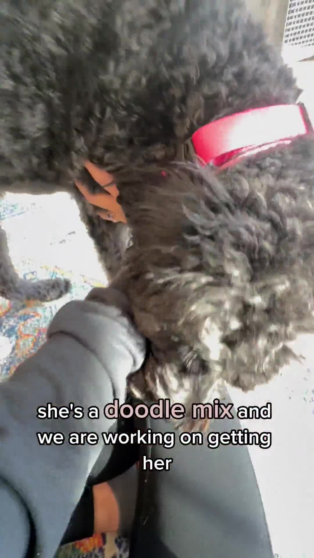 Related Video Item Thumbnail