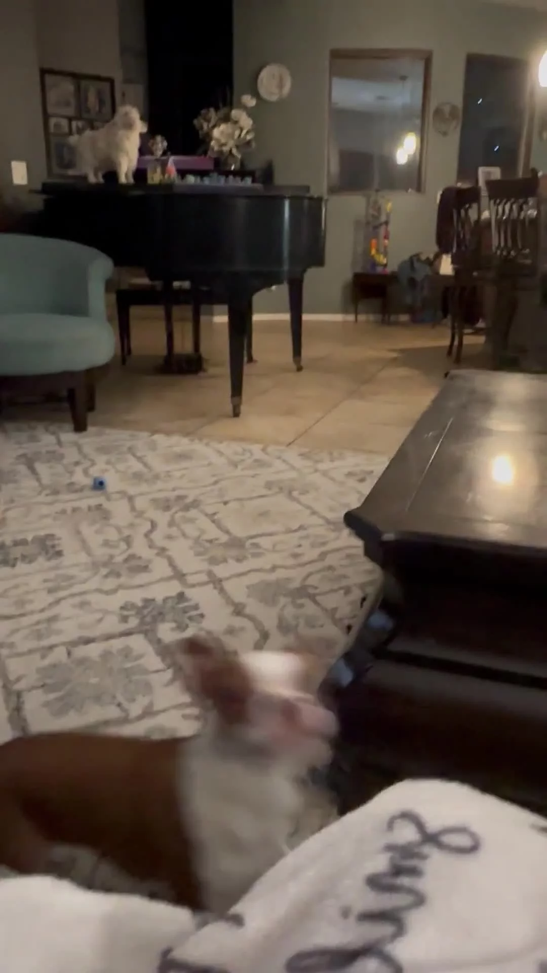 Related Video Item Thumbnail
