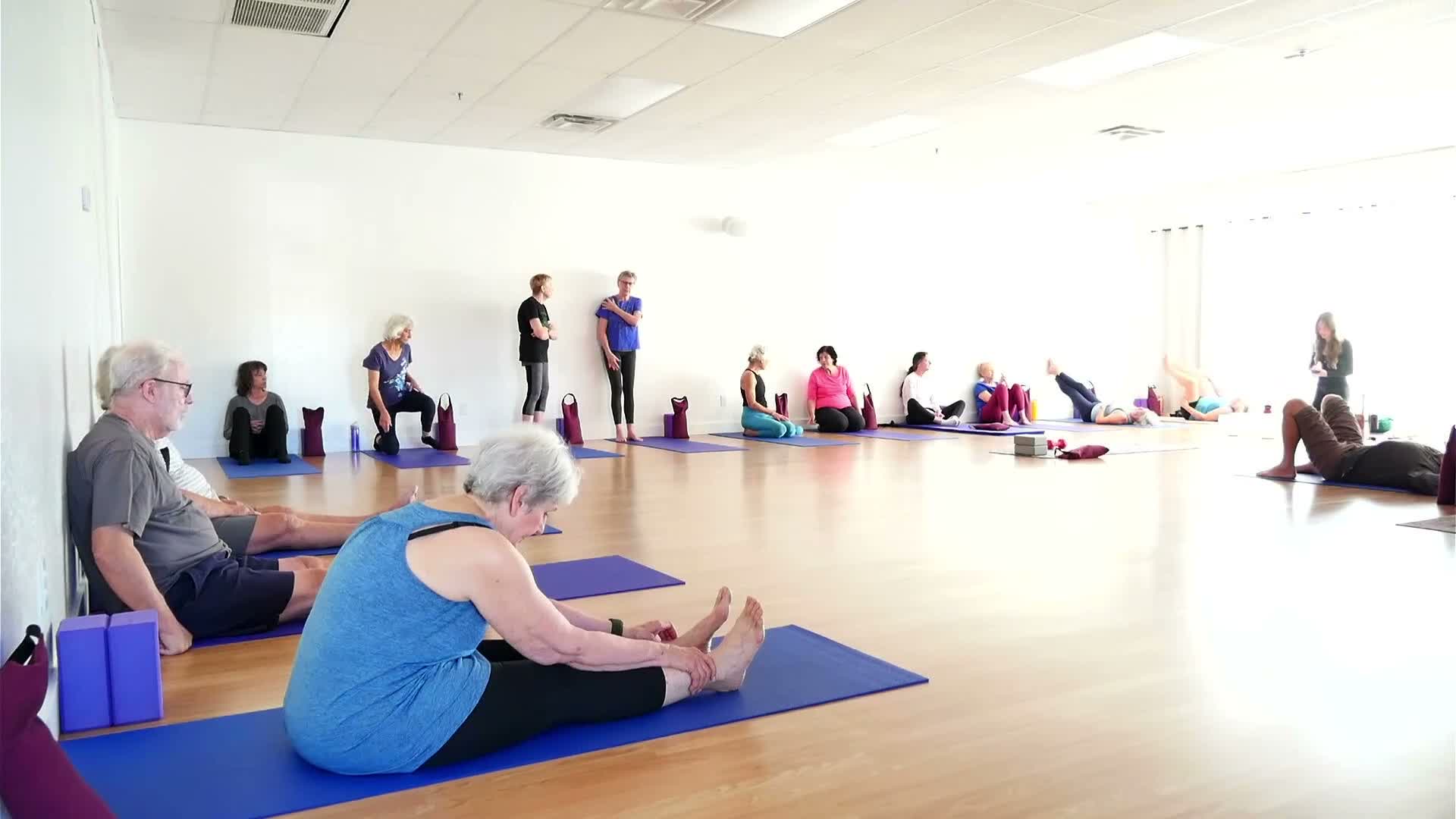 Therapeutic Yoga