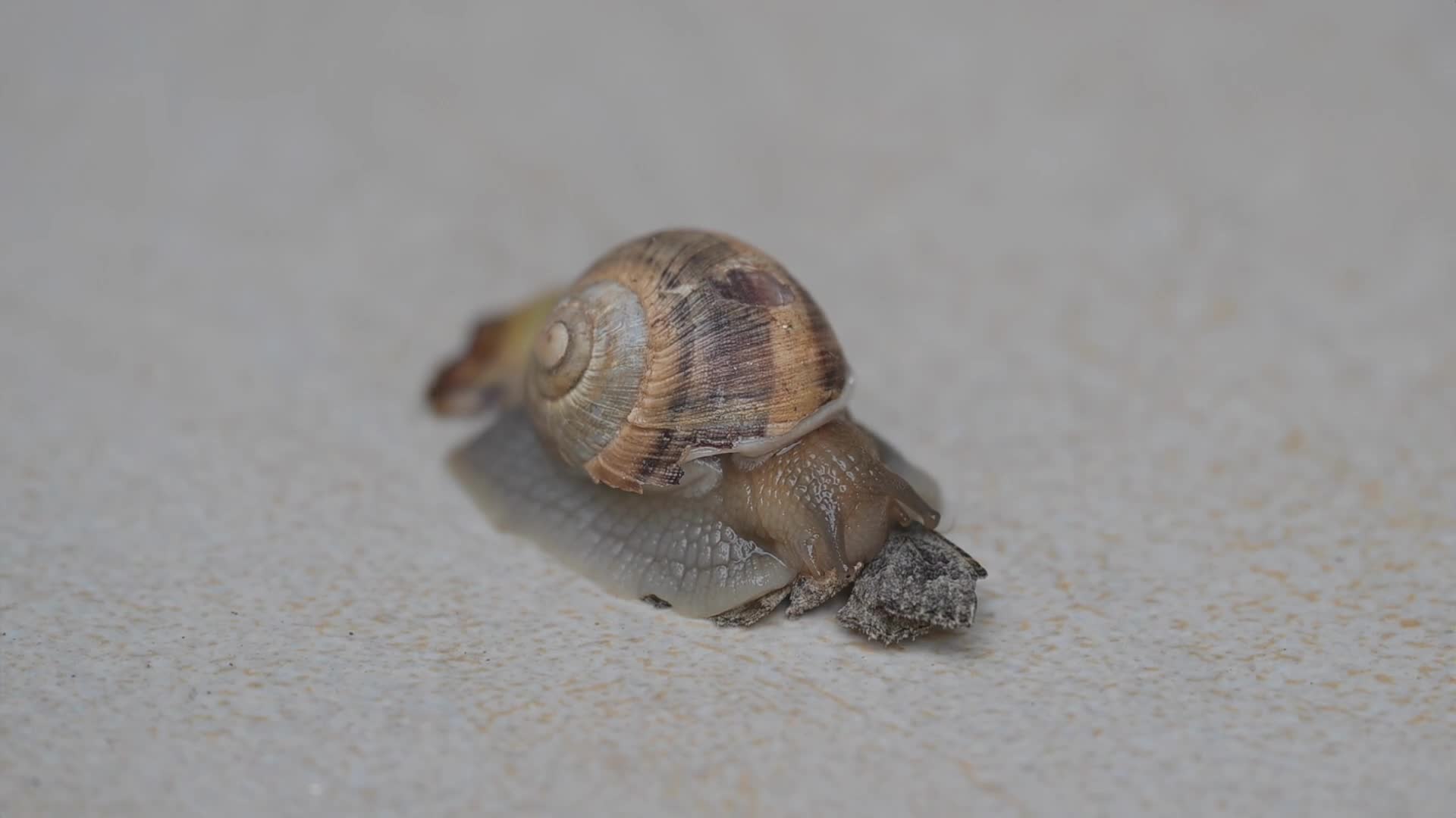 Related Video Item Thumbnail