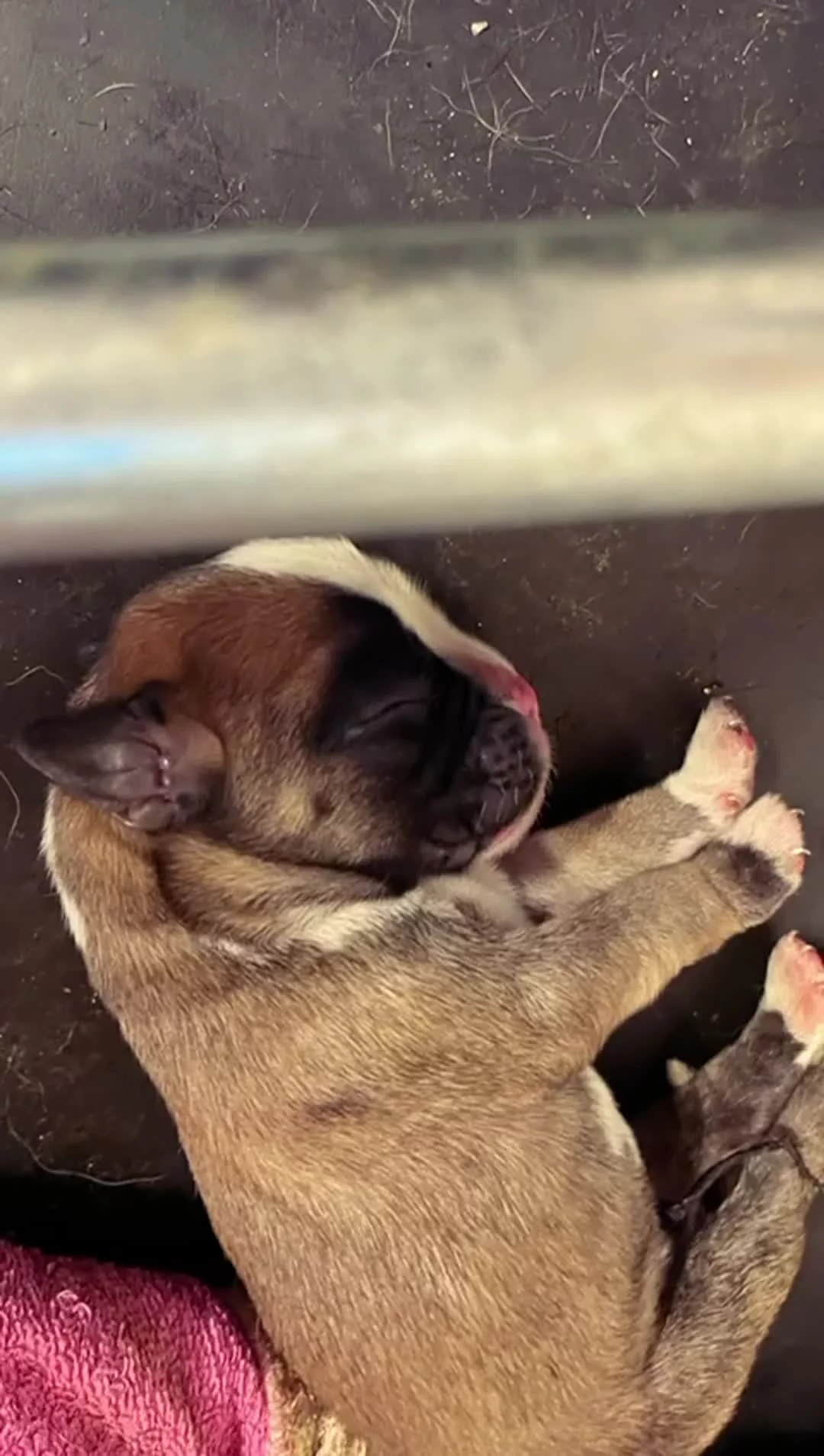 Related Video Item Thumbnail