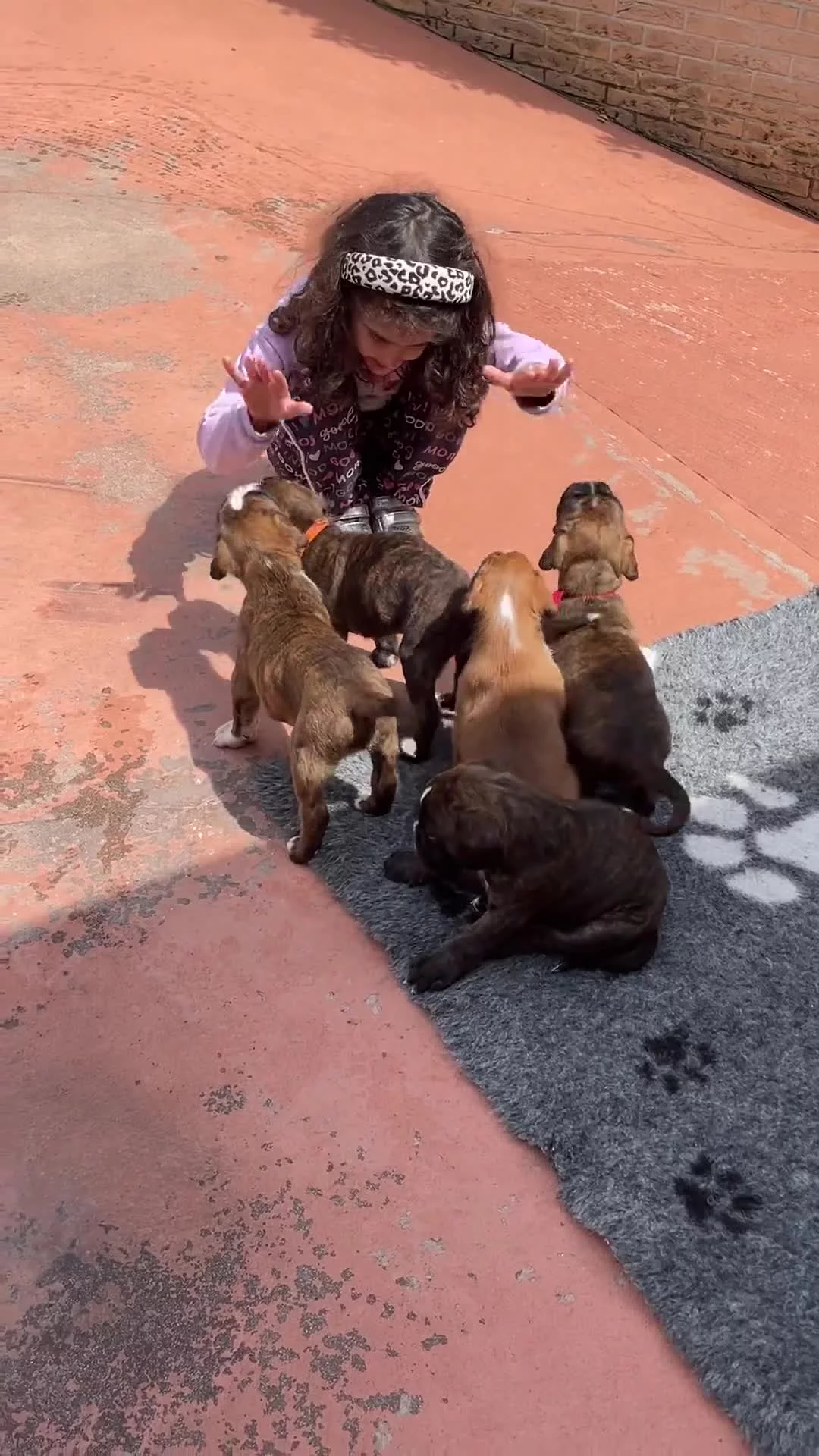 Related Video Item Thumbnail