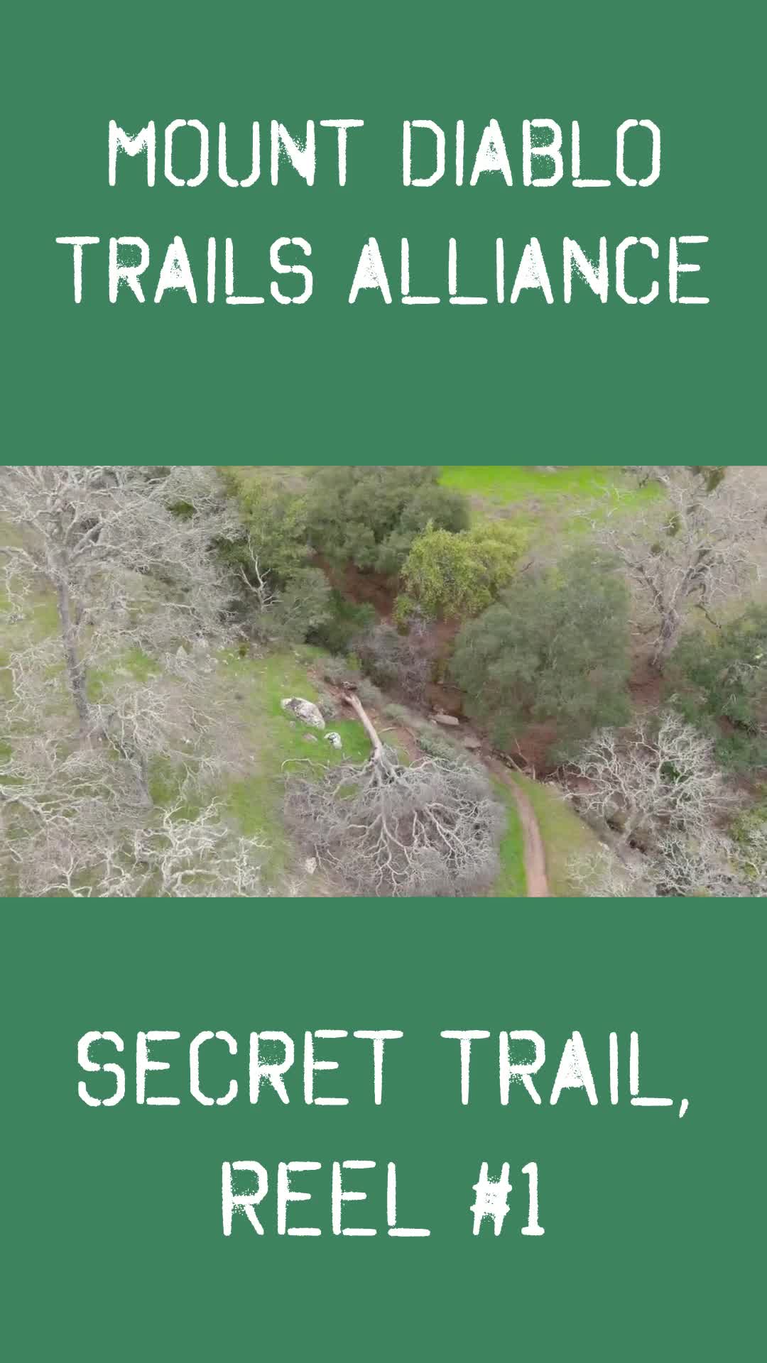 Oak Knoll Trail Epic Dig Day — Mount Diablo Trails Alliance