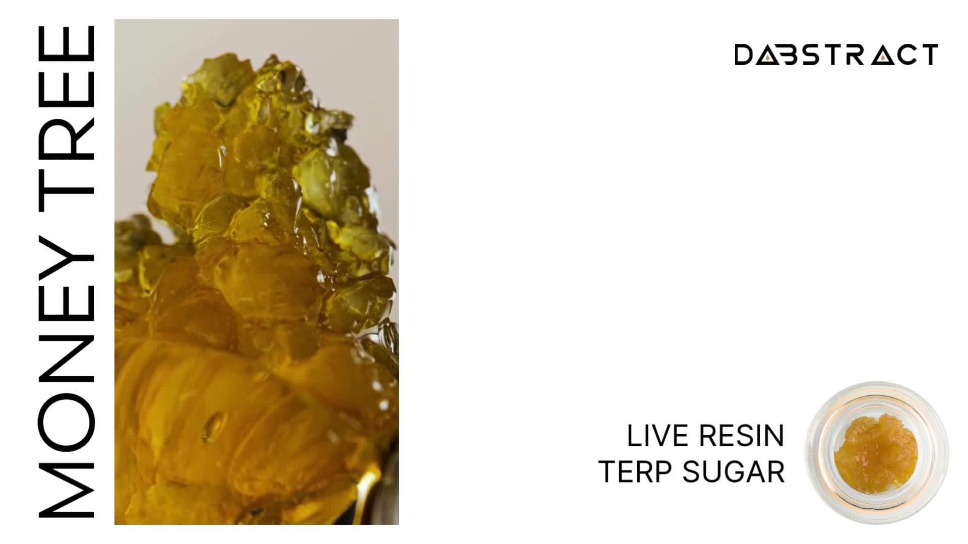 Money Tree  %DABSTRACT