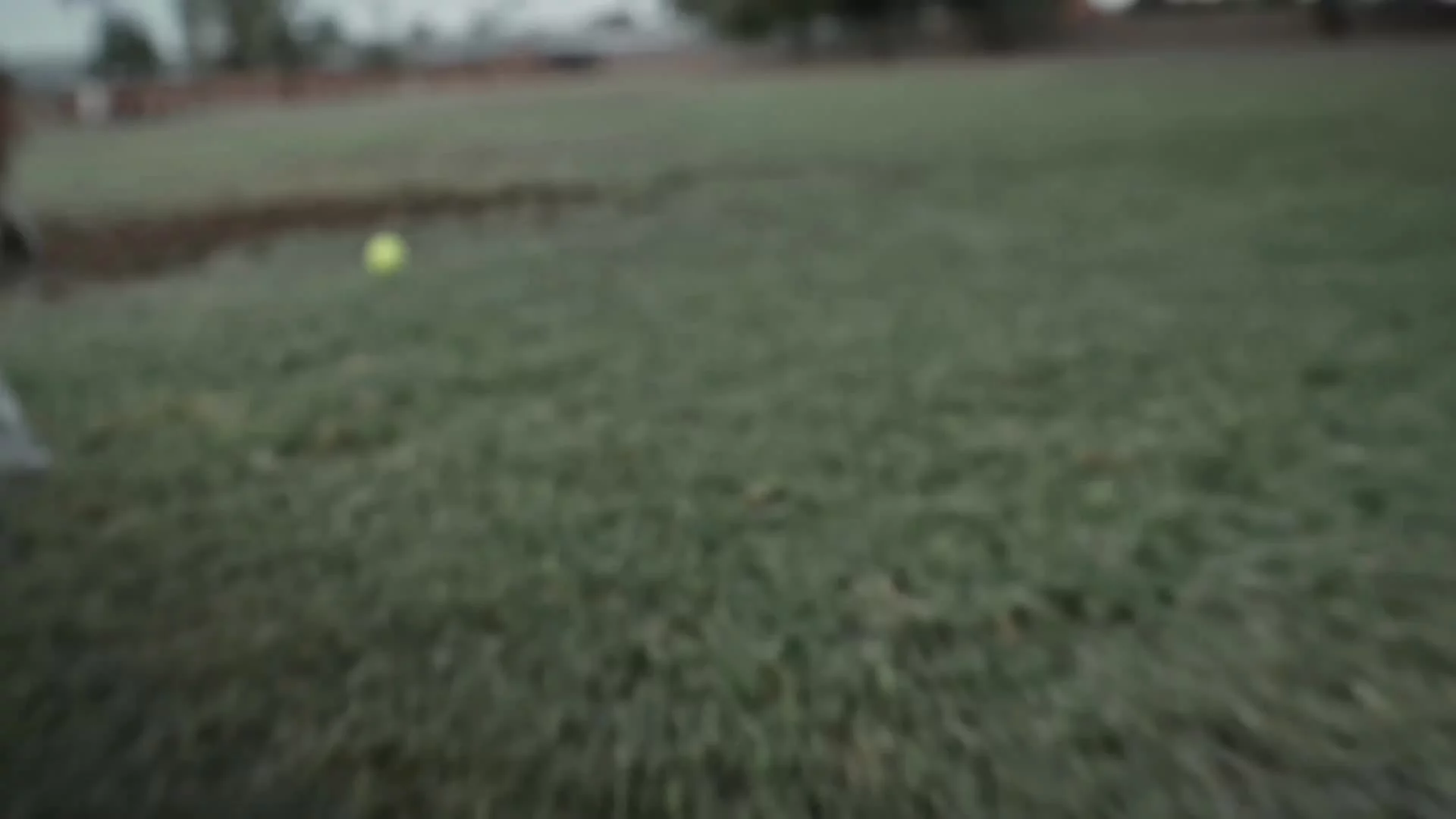 Related Video Item Thumbnail