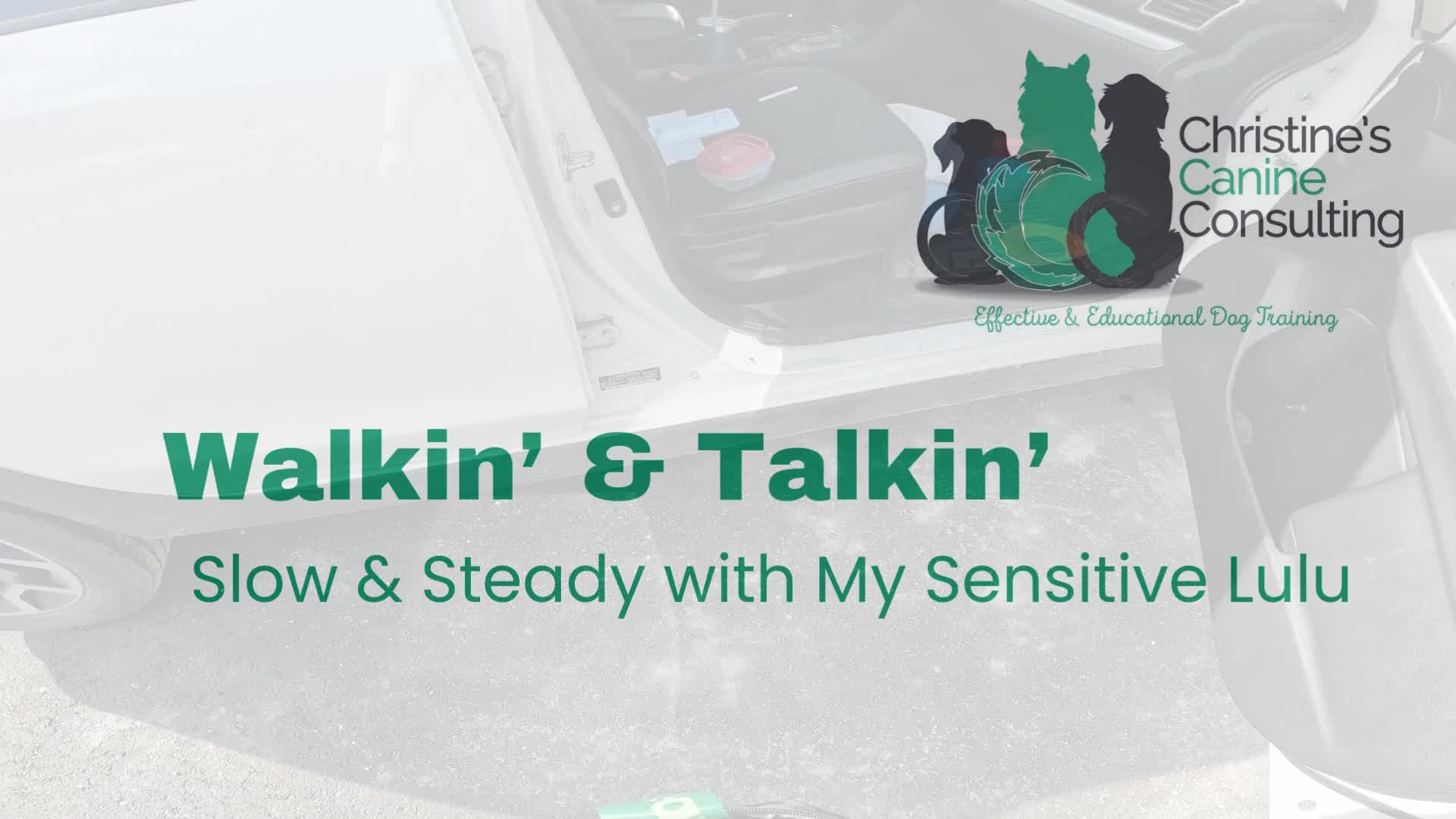 Related Video Item Thumbnail