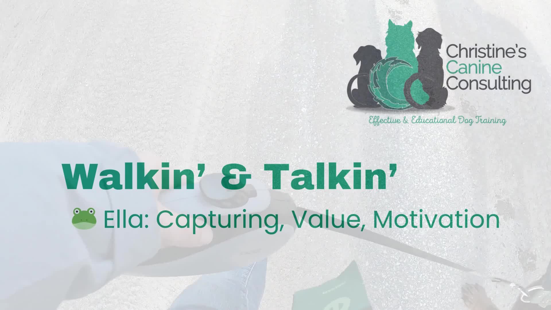 Related Video Item Thumbnail